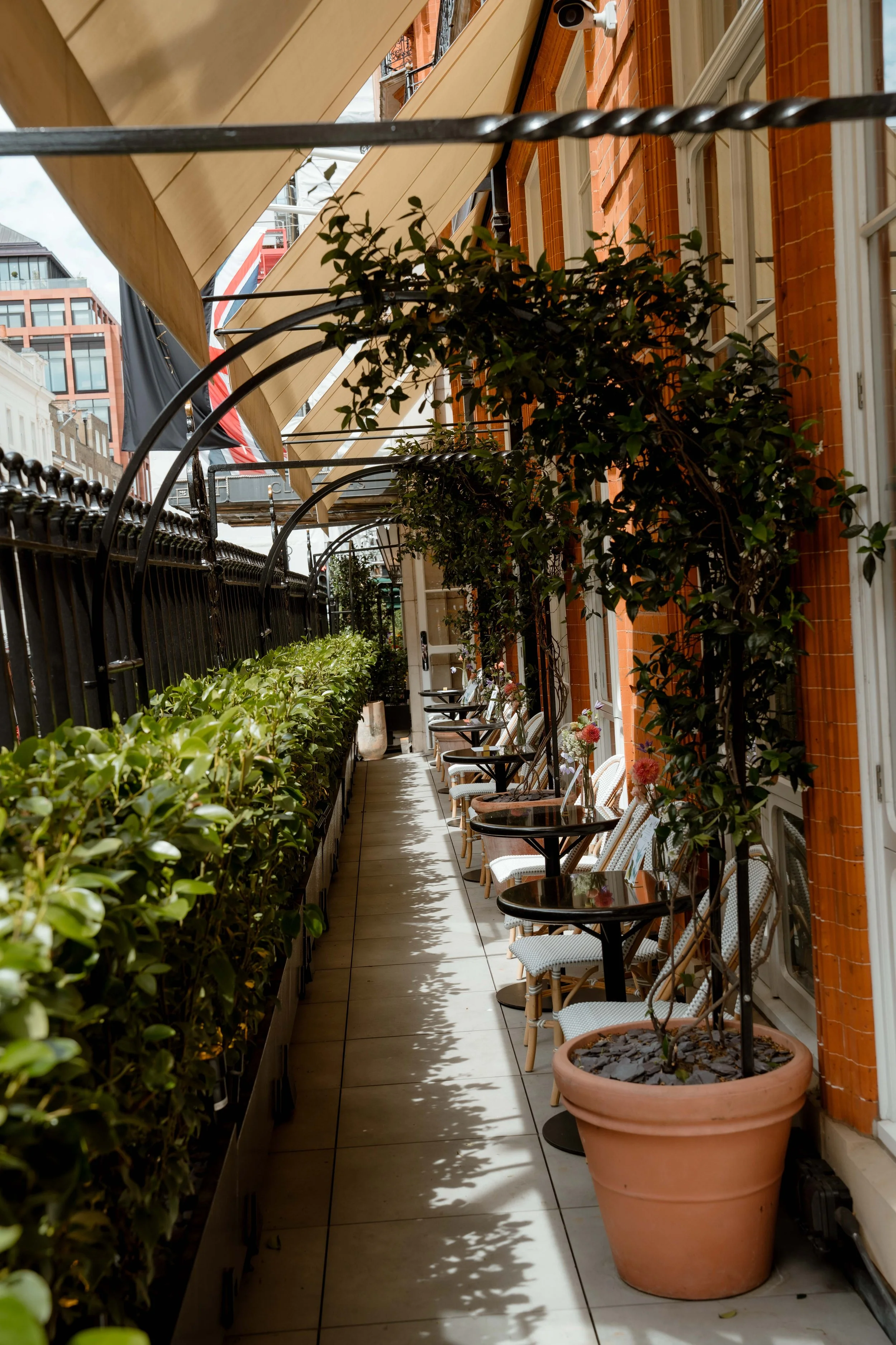 claridges-terrace-event-photography.jpg
