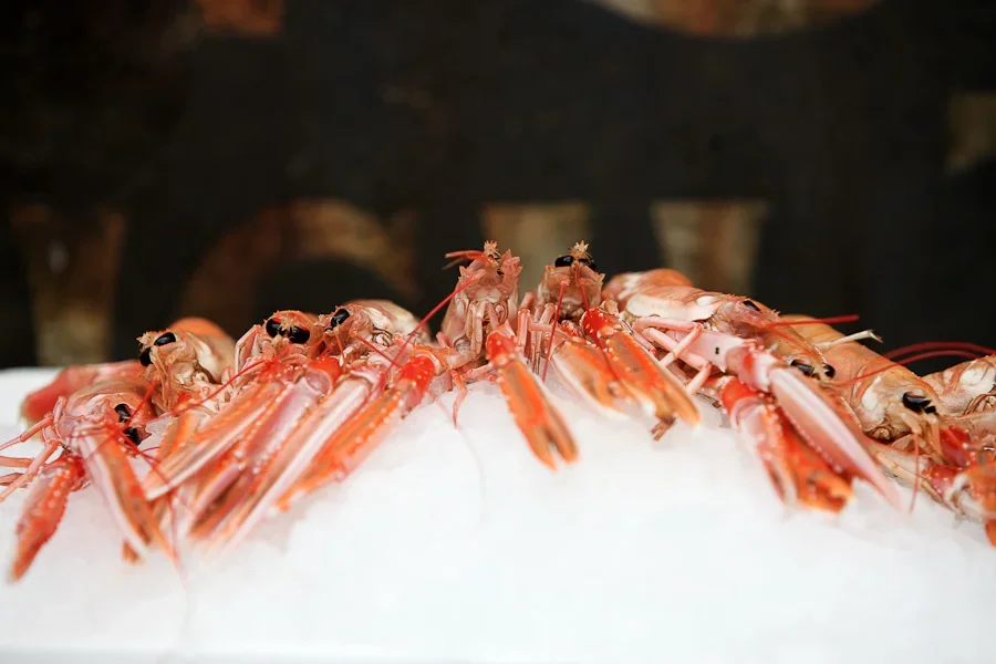 WebsiteFood-21.jpg.webp