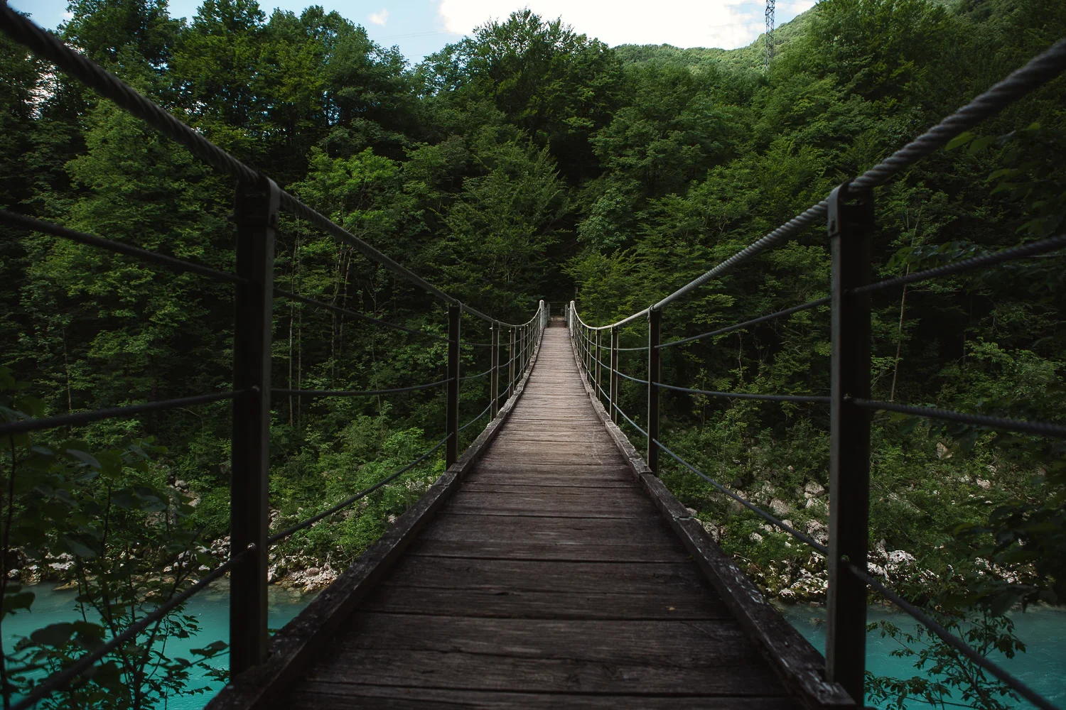 HS-1.jpg.webp