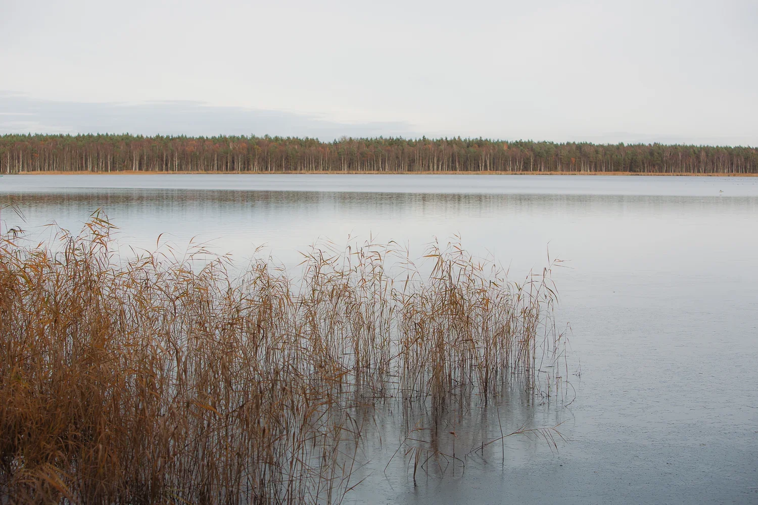HS-19.jpg.webp