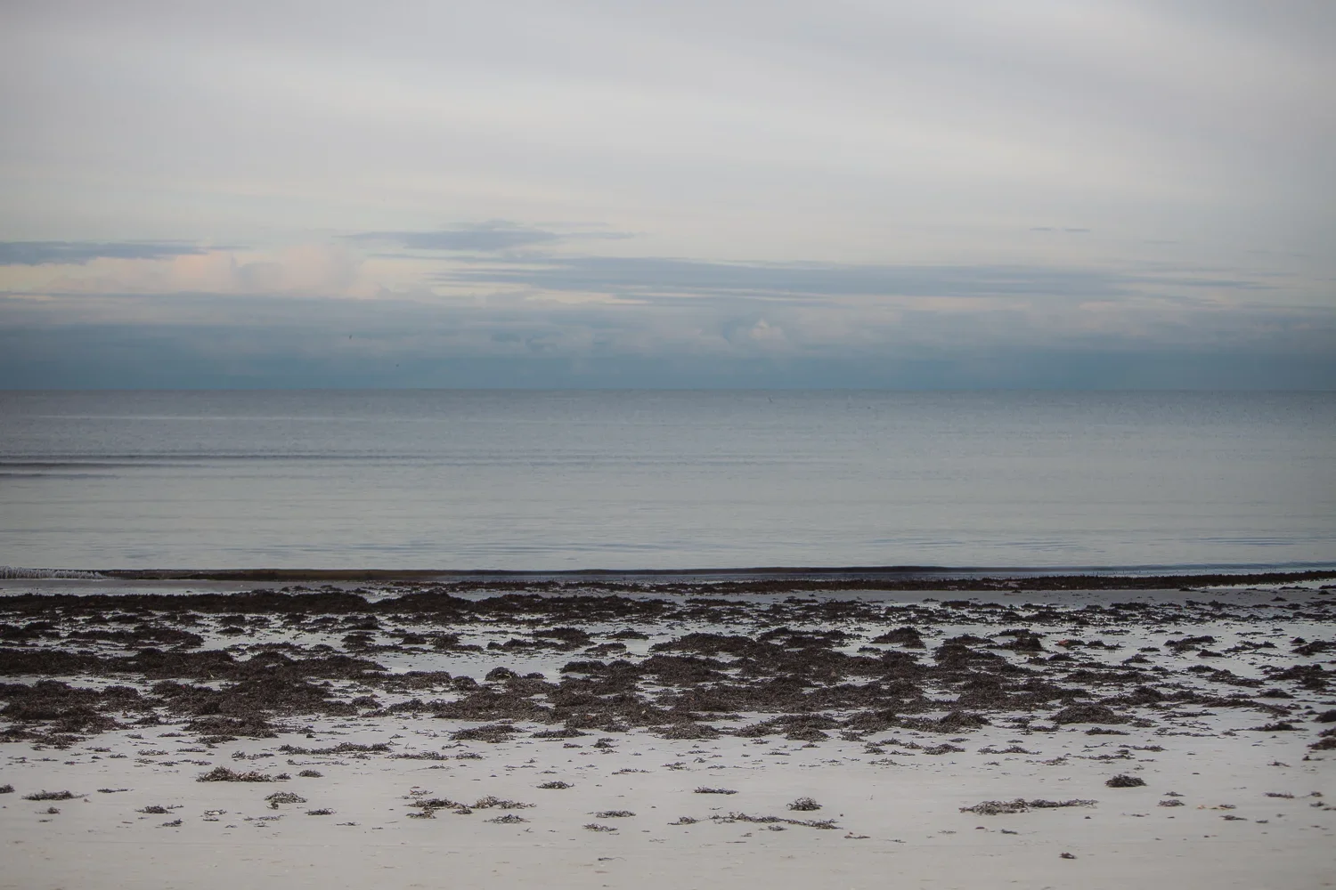 HS-20.jpg.webp