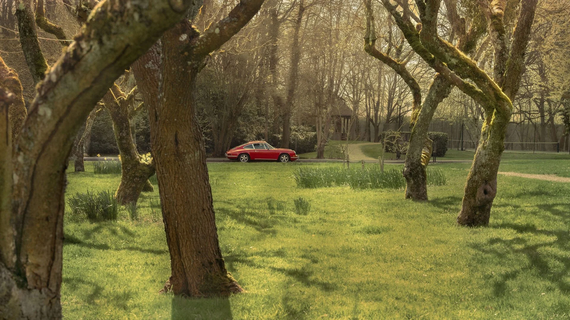 commercial-photography-stockholm-landscape-orchard-jean.jpg