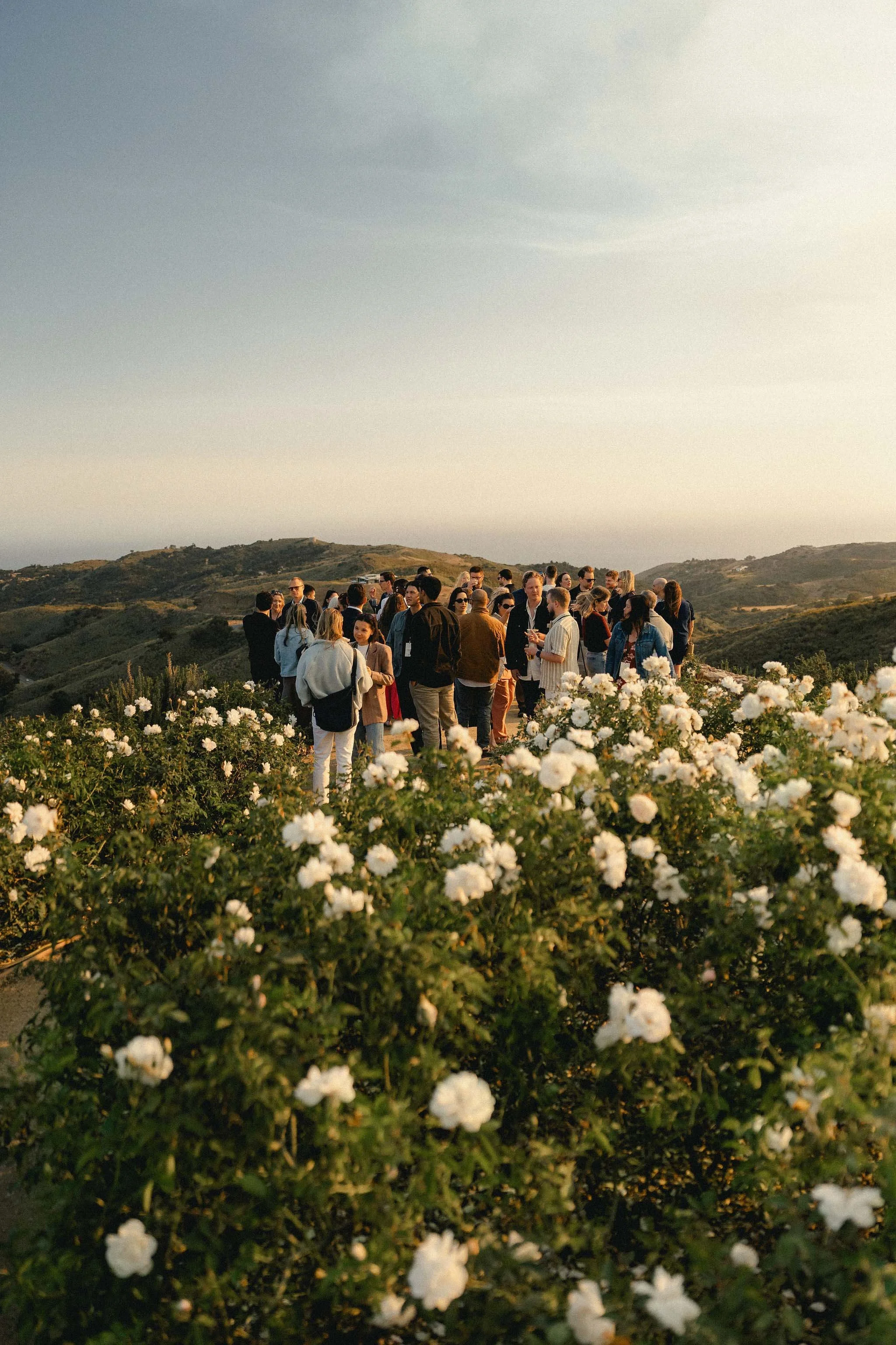 event-photography-stockholm-outdoor-vineyard-gathering-jean.jpg