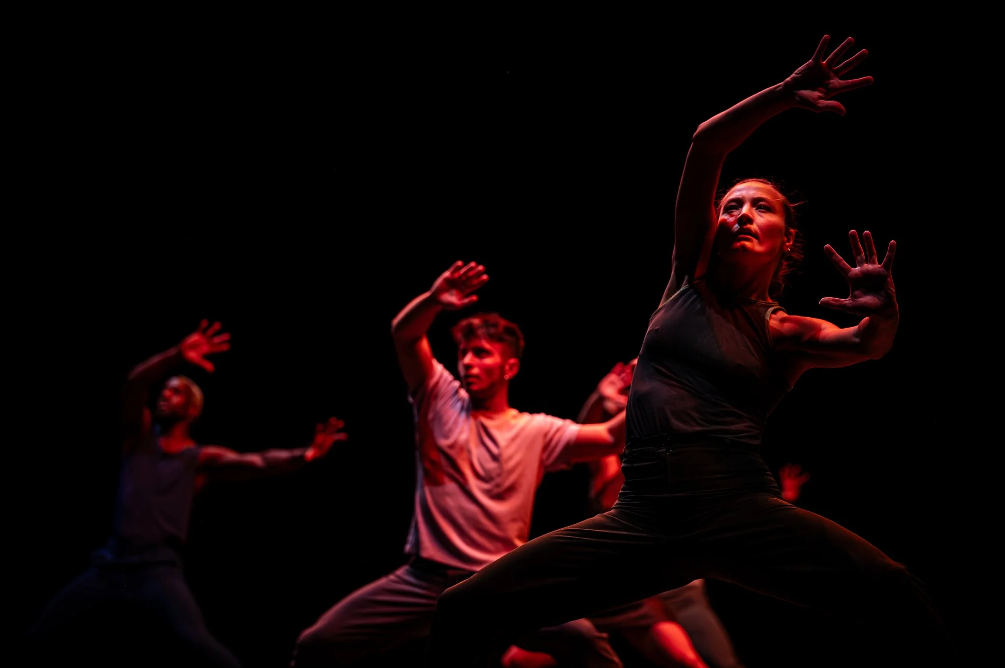 event-photography-brussels-live-performance-entertainment-matteo.jpg