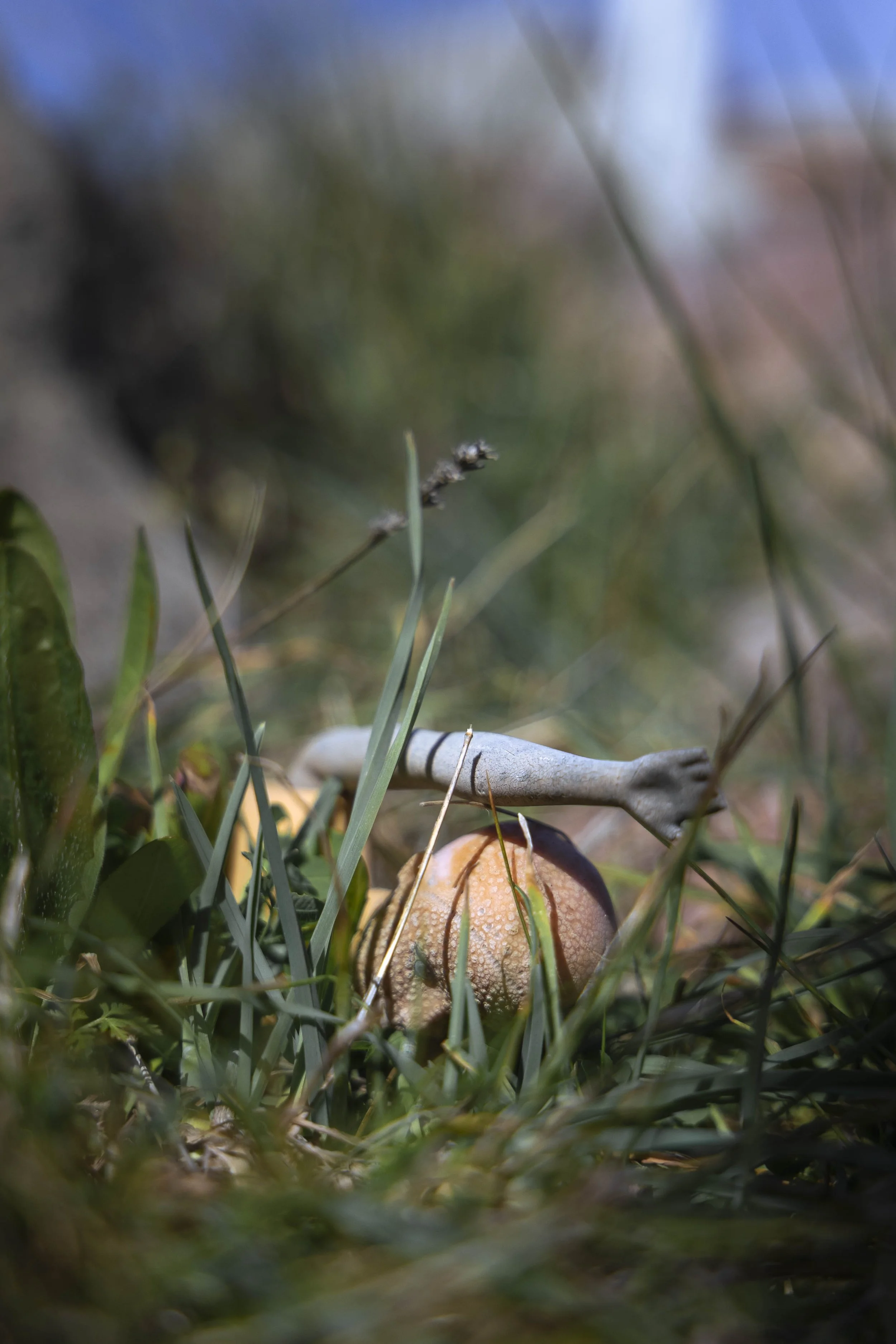 Lesbos records the highest proportion of families and women seeking asylum on the Mediterranean migration routes. Even in 2019, they continued to represent more than 60% of arrivals.  
We recall the words of the fisherman Stratis Valamios: “I dive on