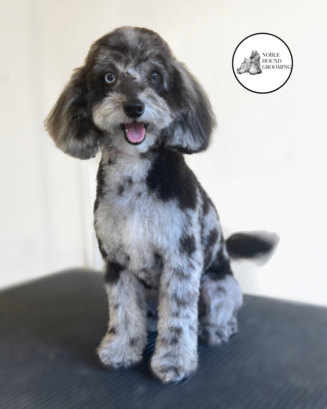 Untitled design-19.png