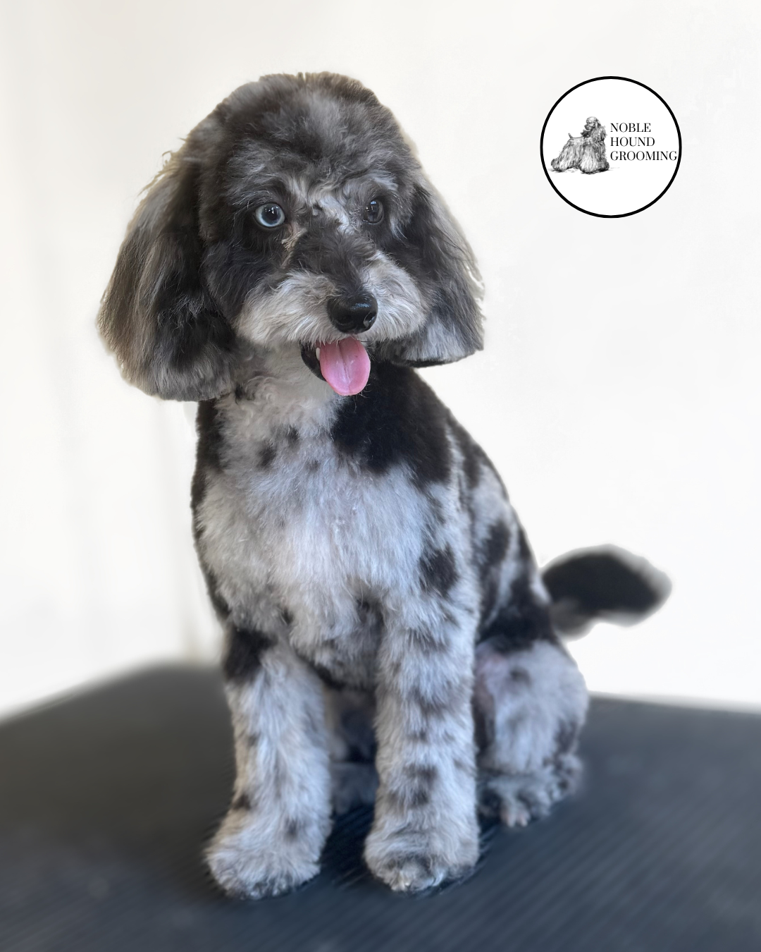 Untitled design-20.png