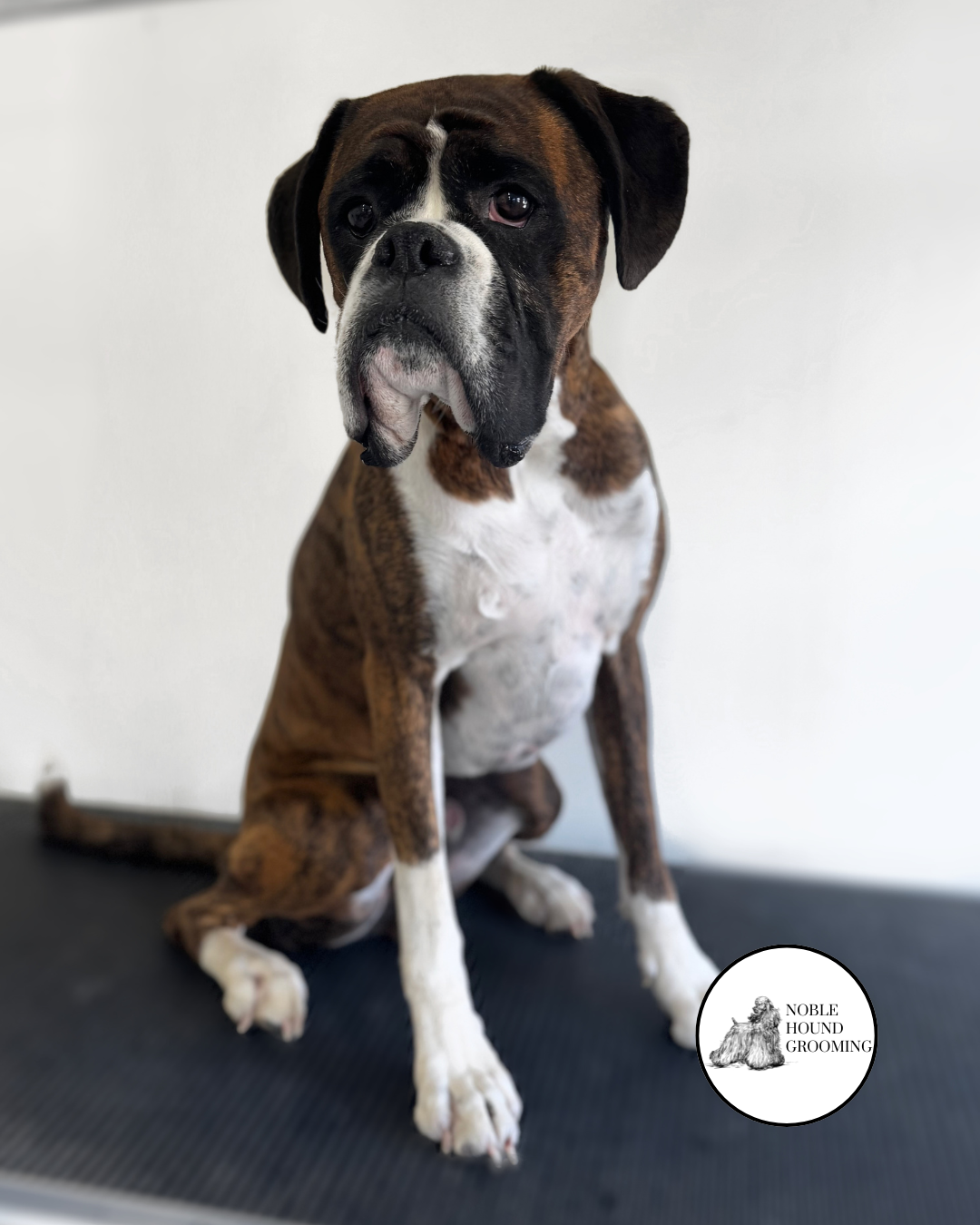 Untitled design-52.png