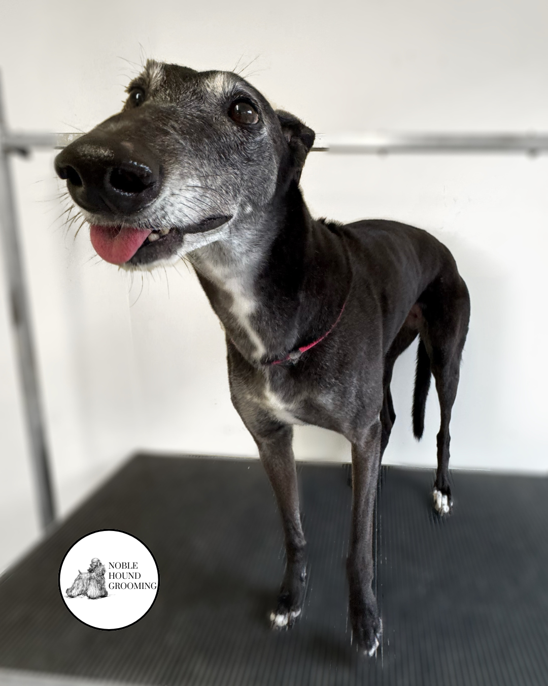 Untitled design-35.png