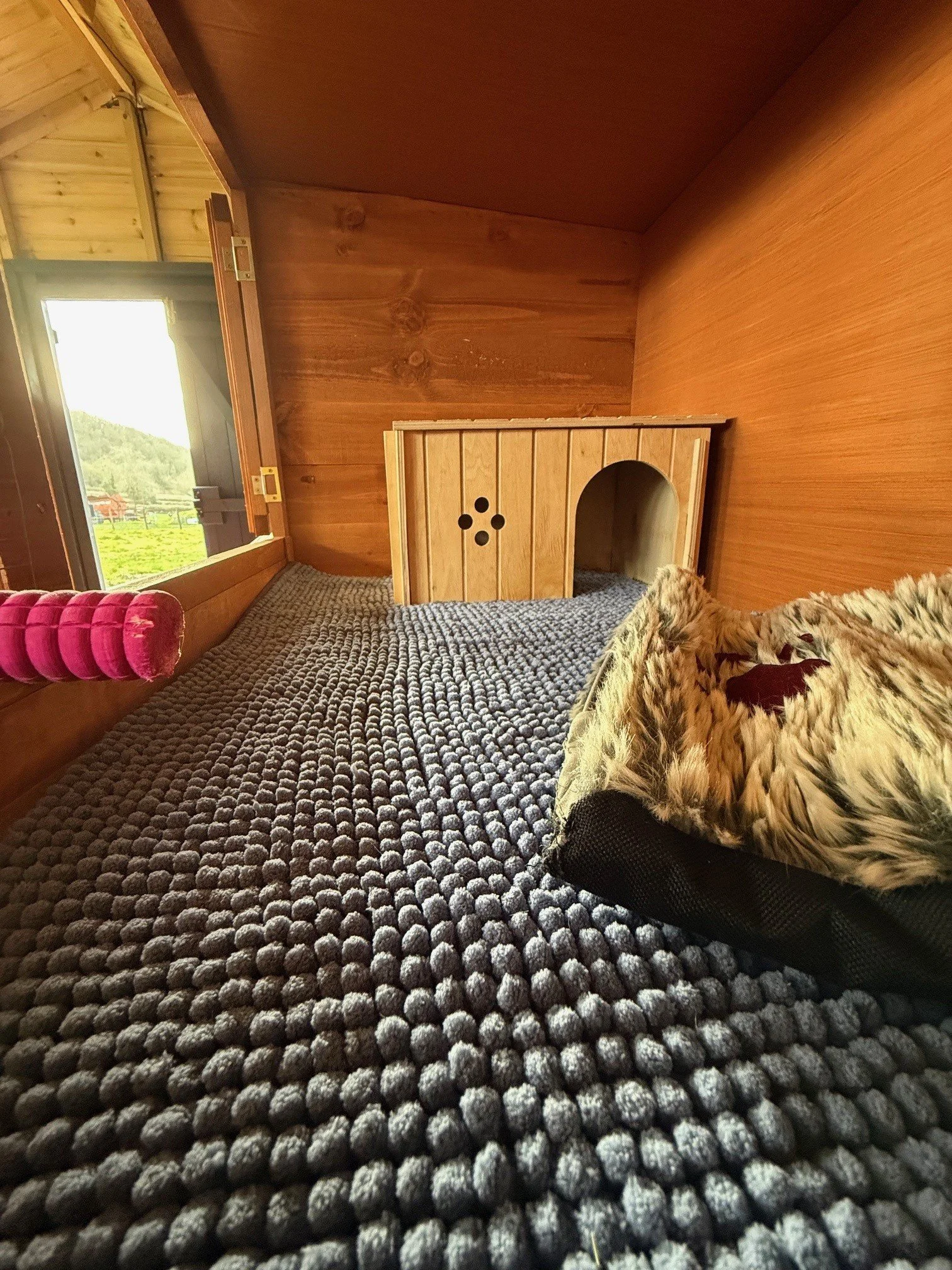 Interior shot of the the guinea pig hutch. There is a blue bath mat on the base with a wooden hidey house, chew toy and blanket