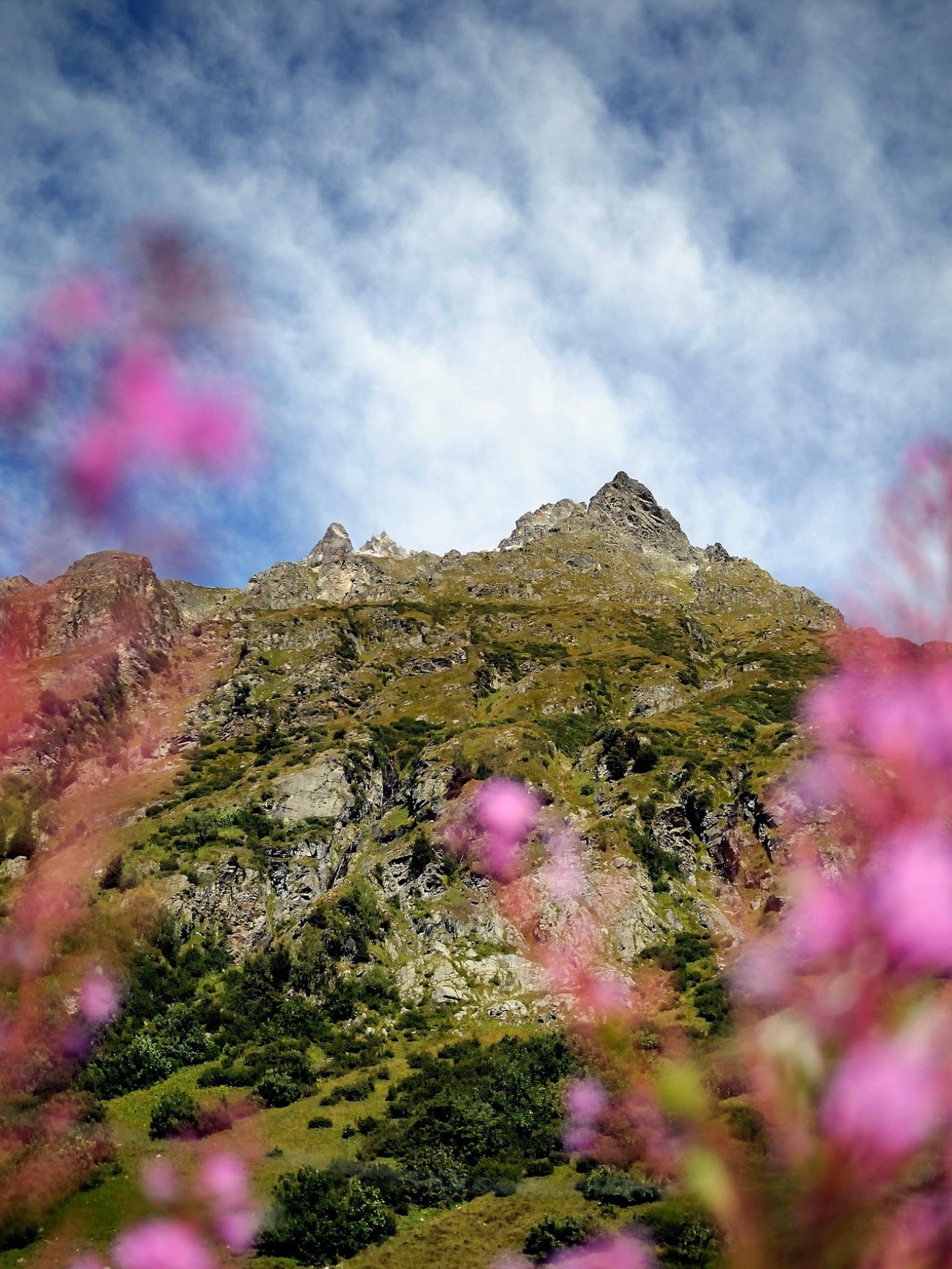  Alp Sardasca (GR) / © Giorgio Hösli 