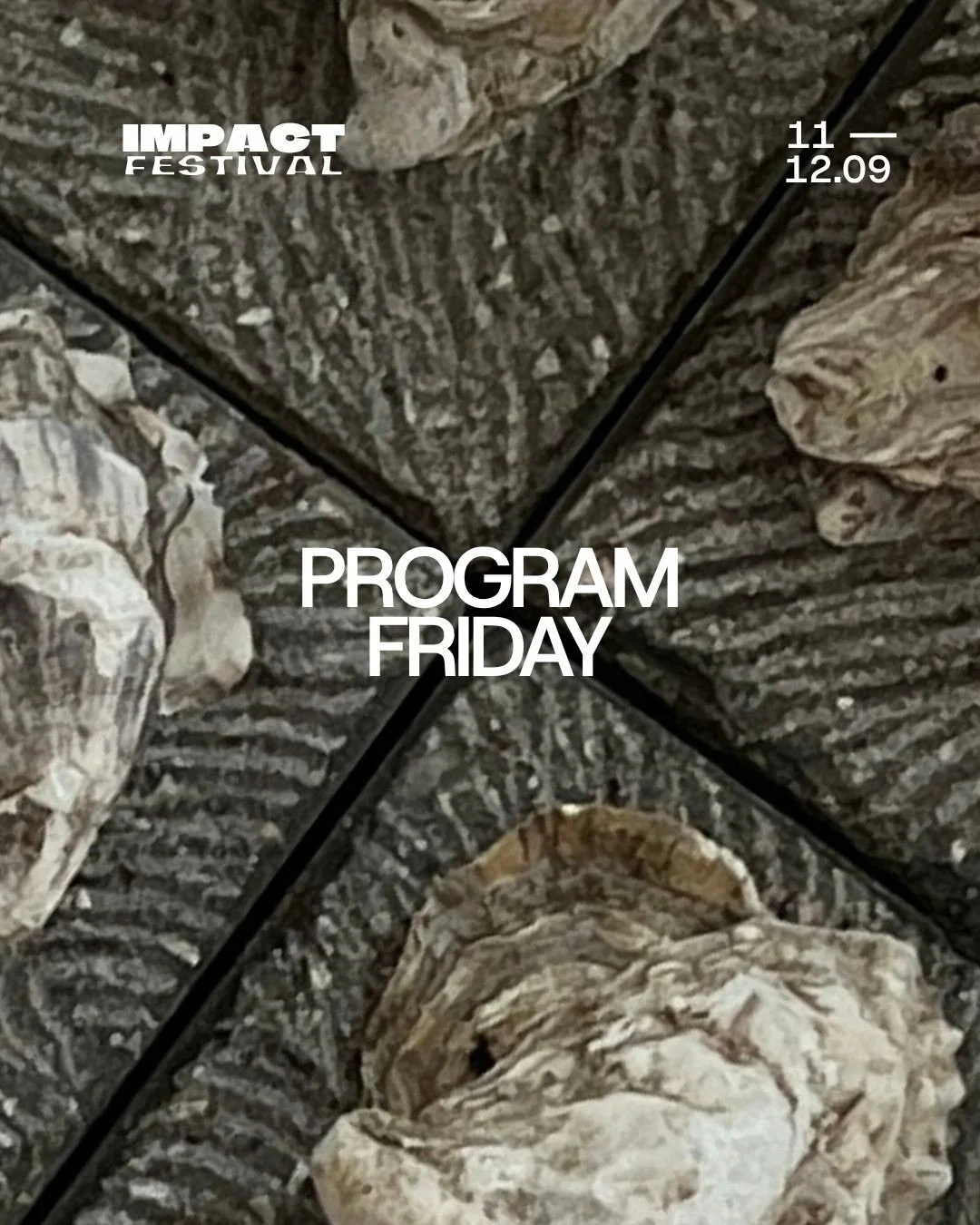 PROGRAM: FRIDAY

Make plans ahead or walk through the festival organically. No matter what, you&rsquo;ll experience a lineup of music, art, talks, workshops and food carefully curated and delivered by our partners and program contributors. 

Thank yo