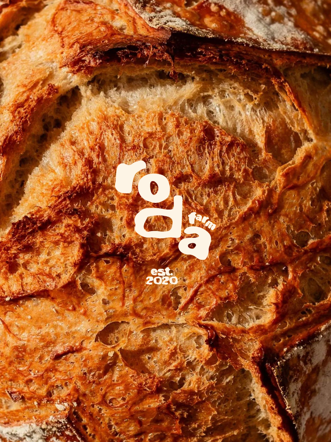 Roda Sosyal medya -18.png