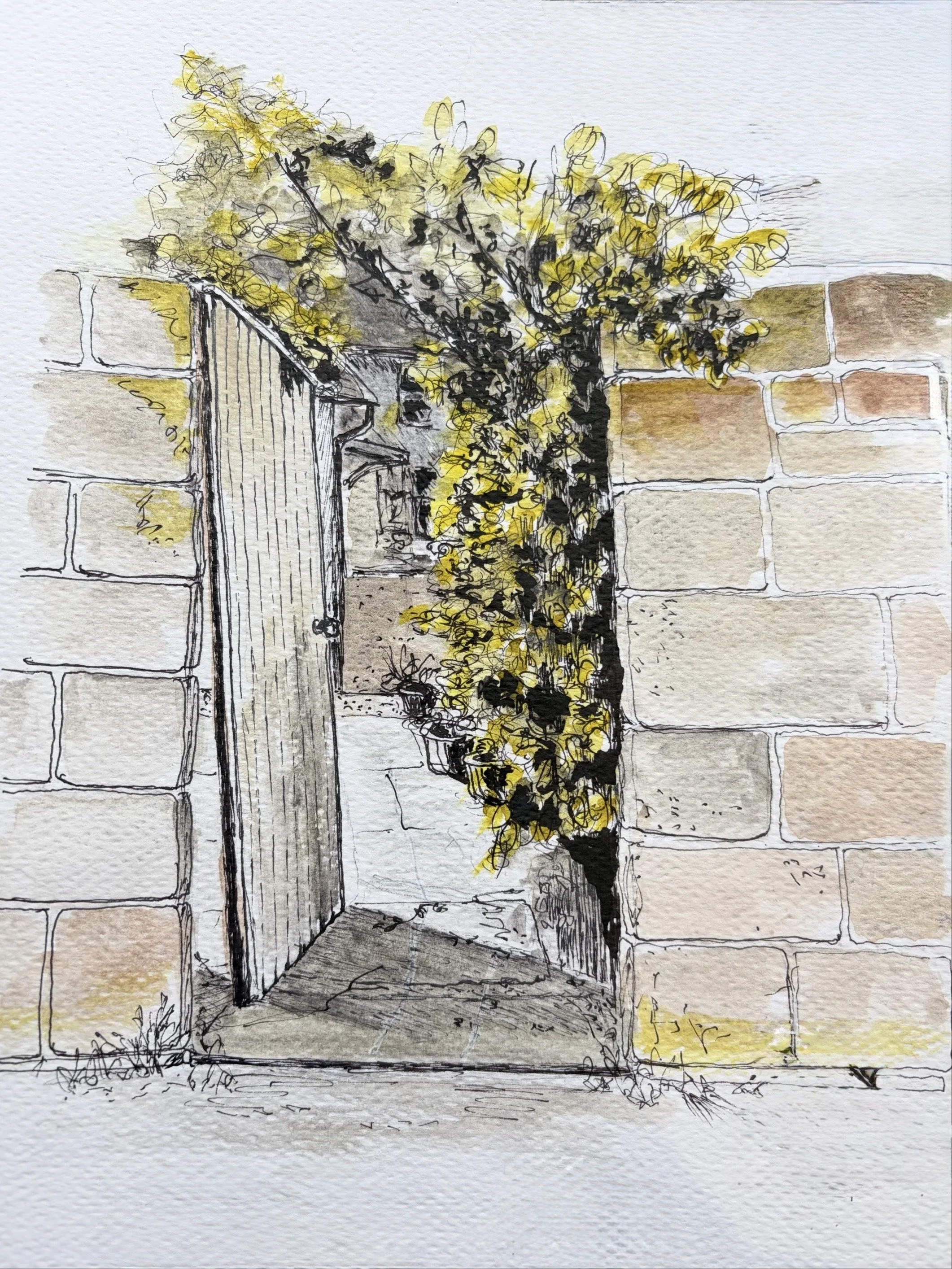 EAST ABERCROMBIE STREET