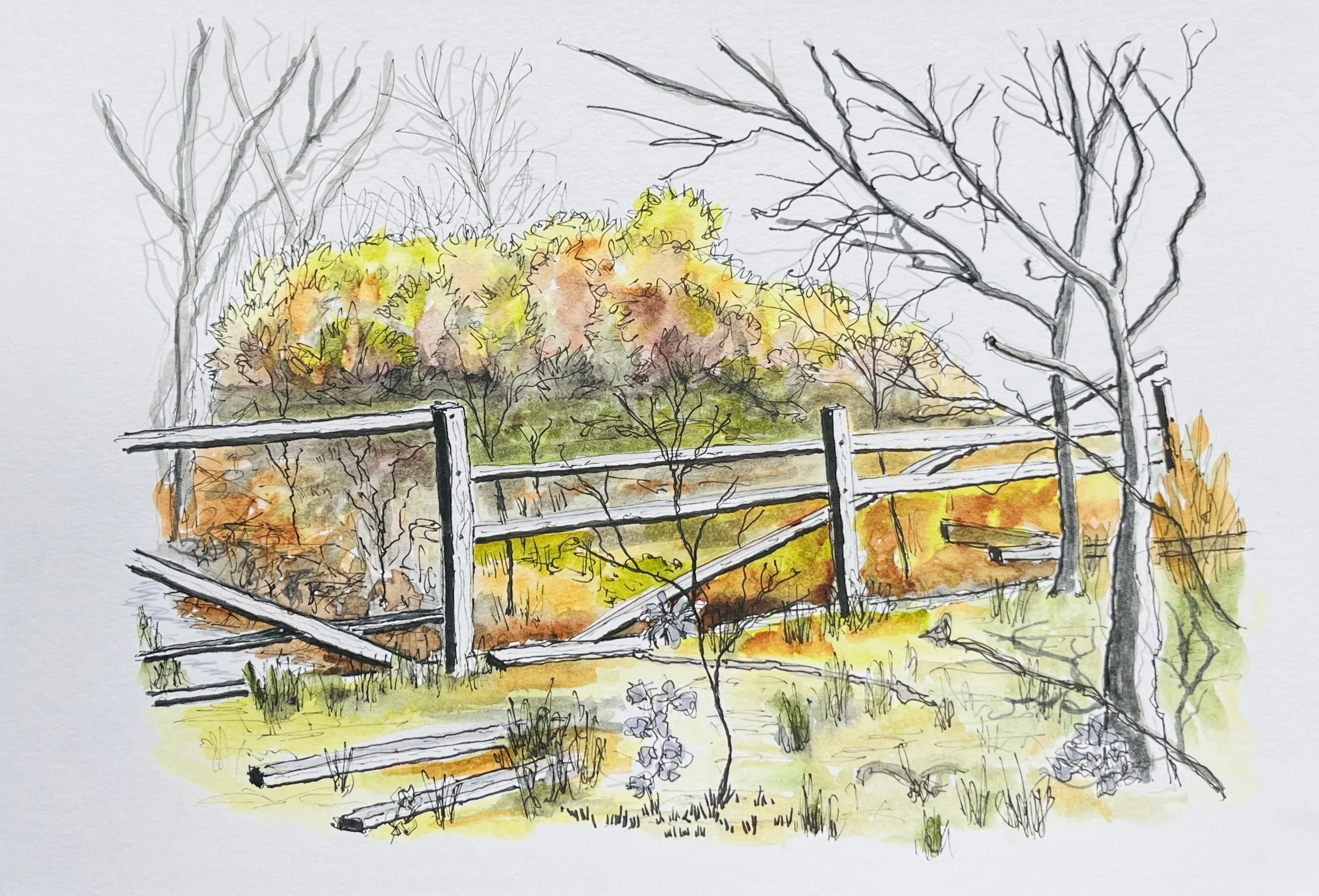 HILL HOUSE WOODS 1