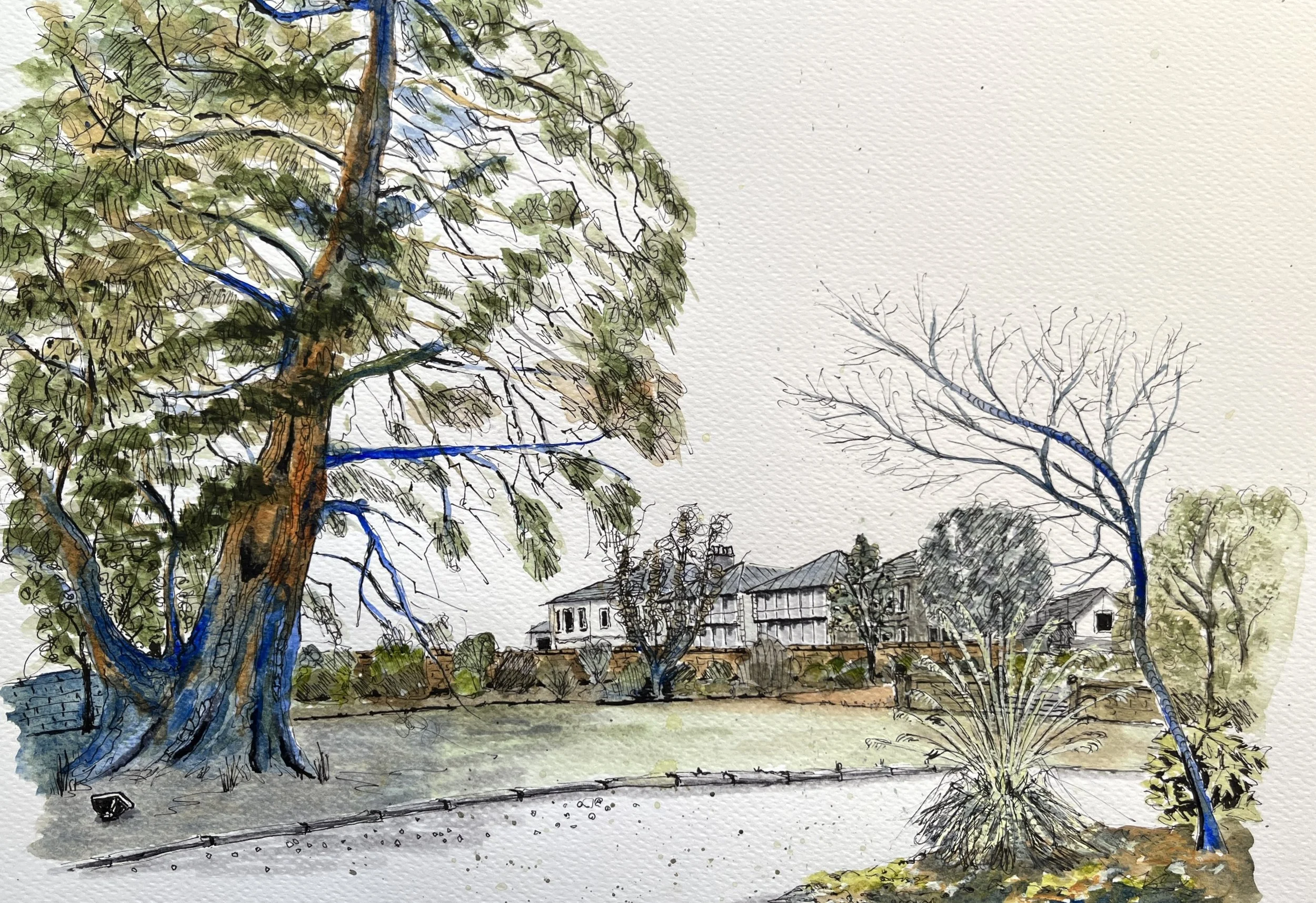 GARDEN, SINCLAIR STREET