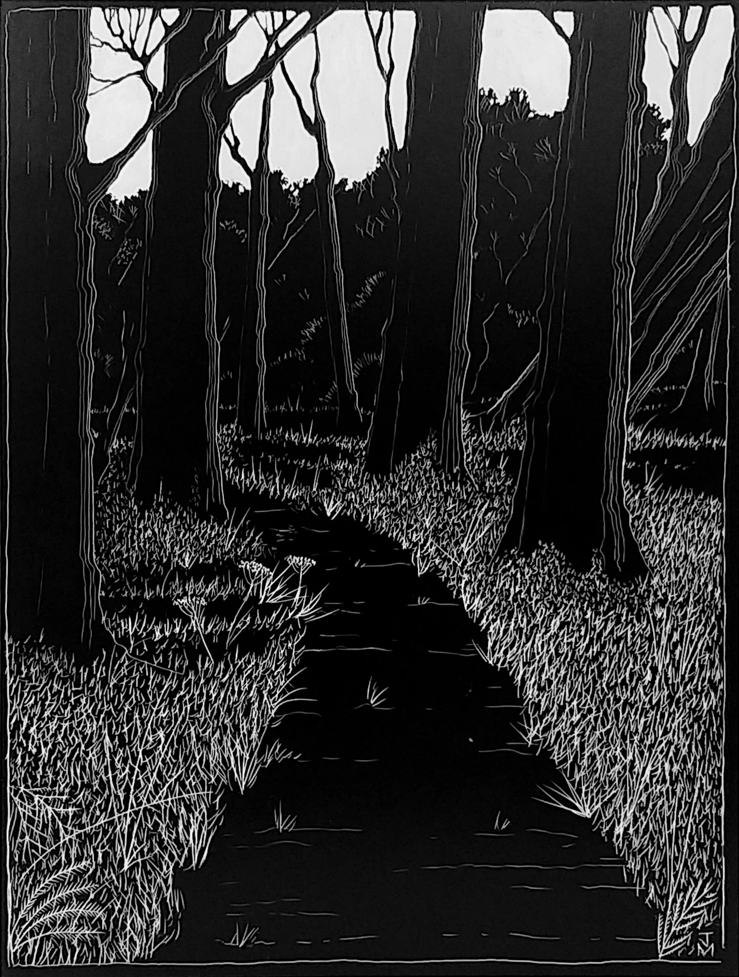 North Downs Pathway.jpg