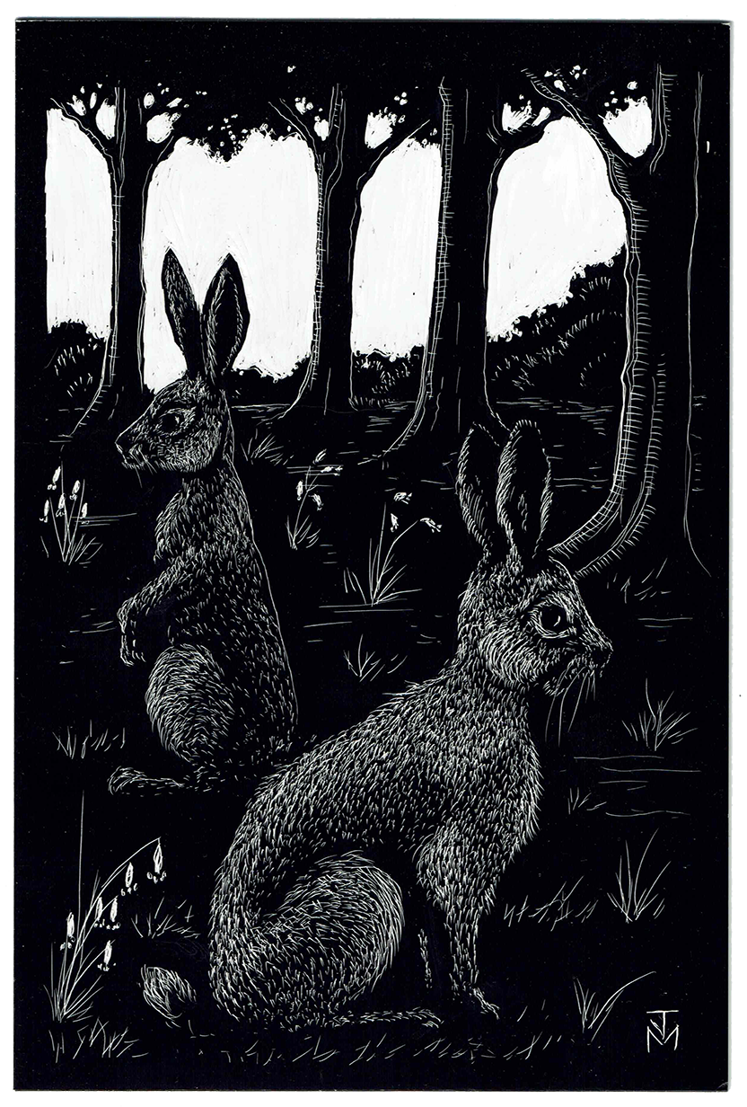 Wild Rabbits, 2023_WR.png