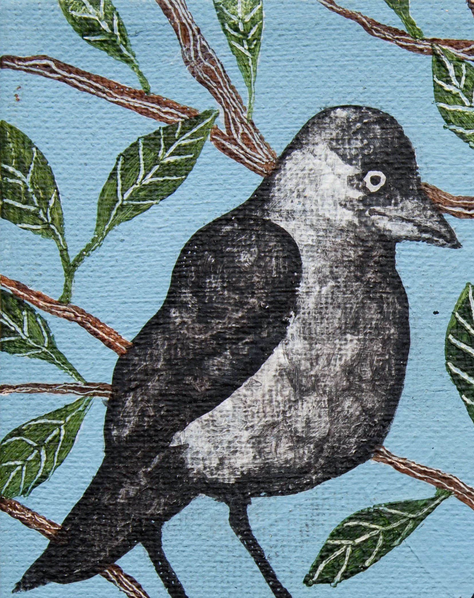 Sedgemoor Jackdaws- detail 2.jpg