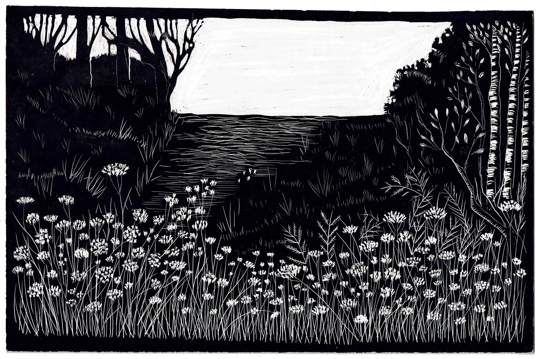 Path with Flowers, Coldrum, 2020_WR.png