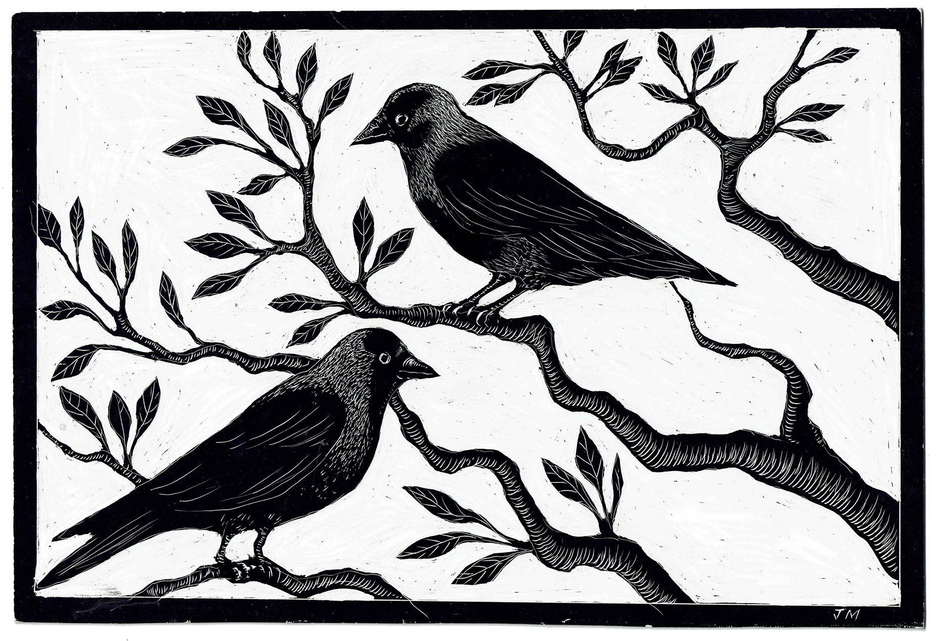 Jackdaws, 2021_WR.png