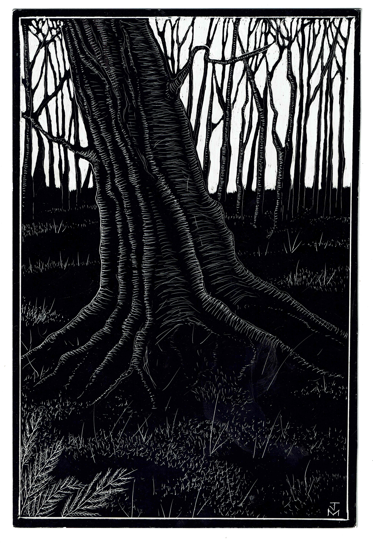 Leaning Oak, 2021_WR.png