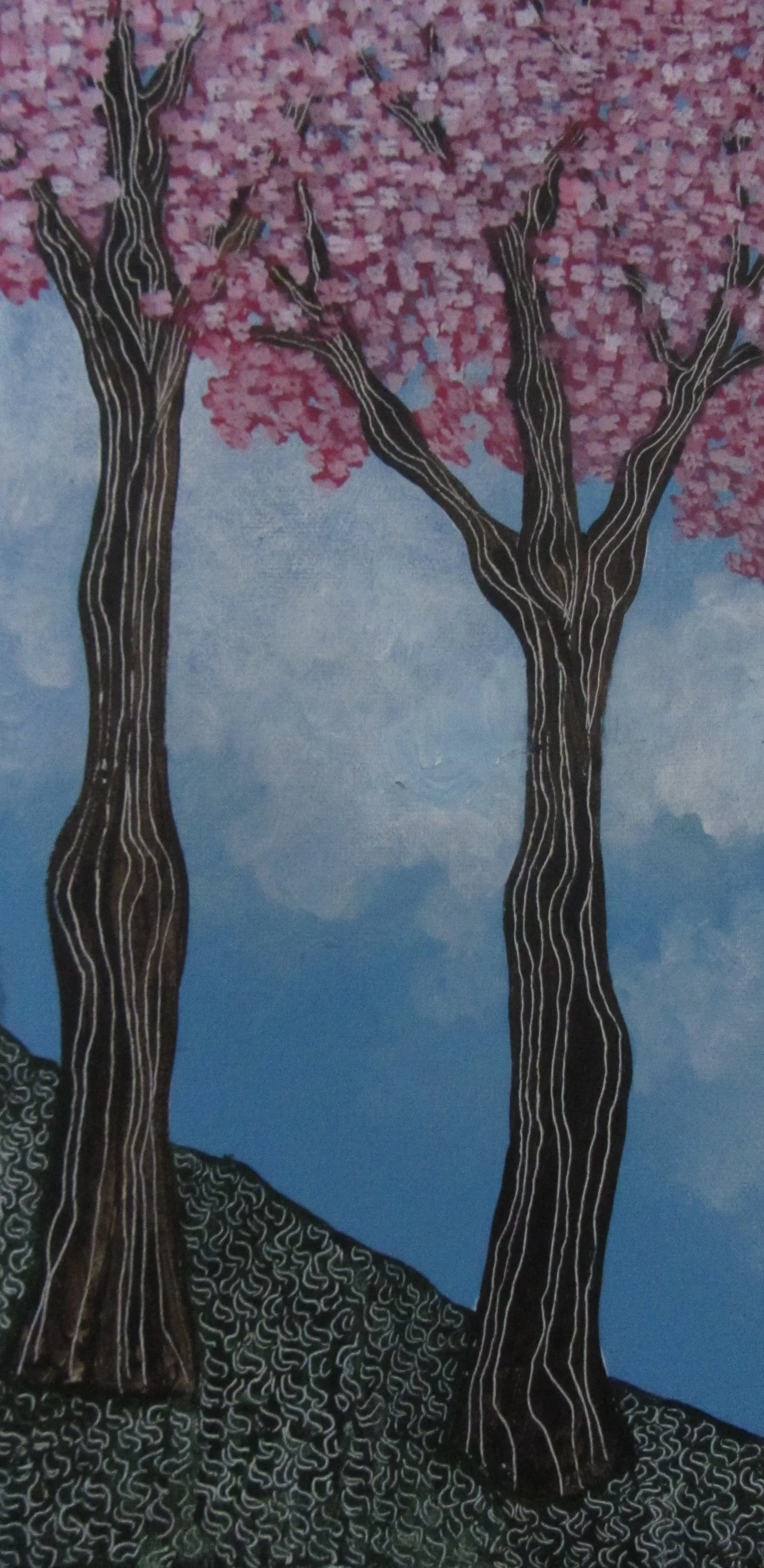 Cherry Blossoms on the hillside.JPG
