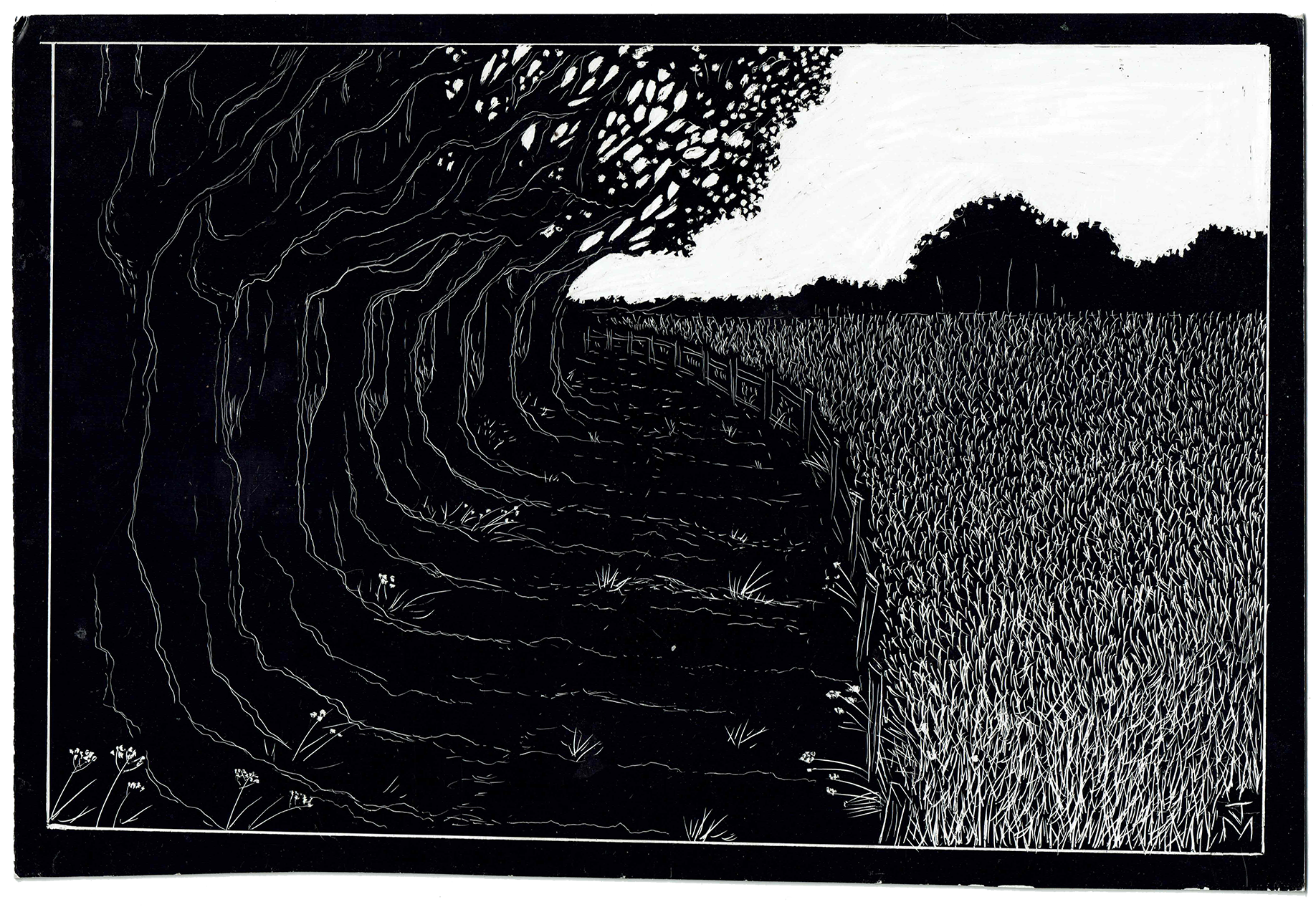 Path at the Field's Edge, 2021_WB.png