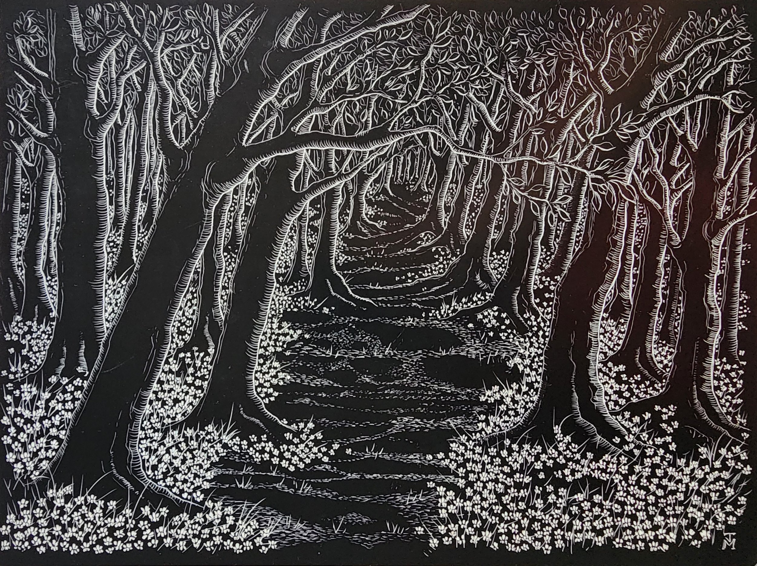 North Downs. Woodland Pathway with Wood Anemones, 2023.jpg