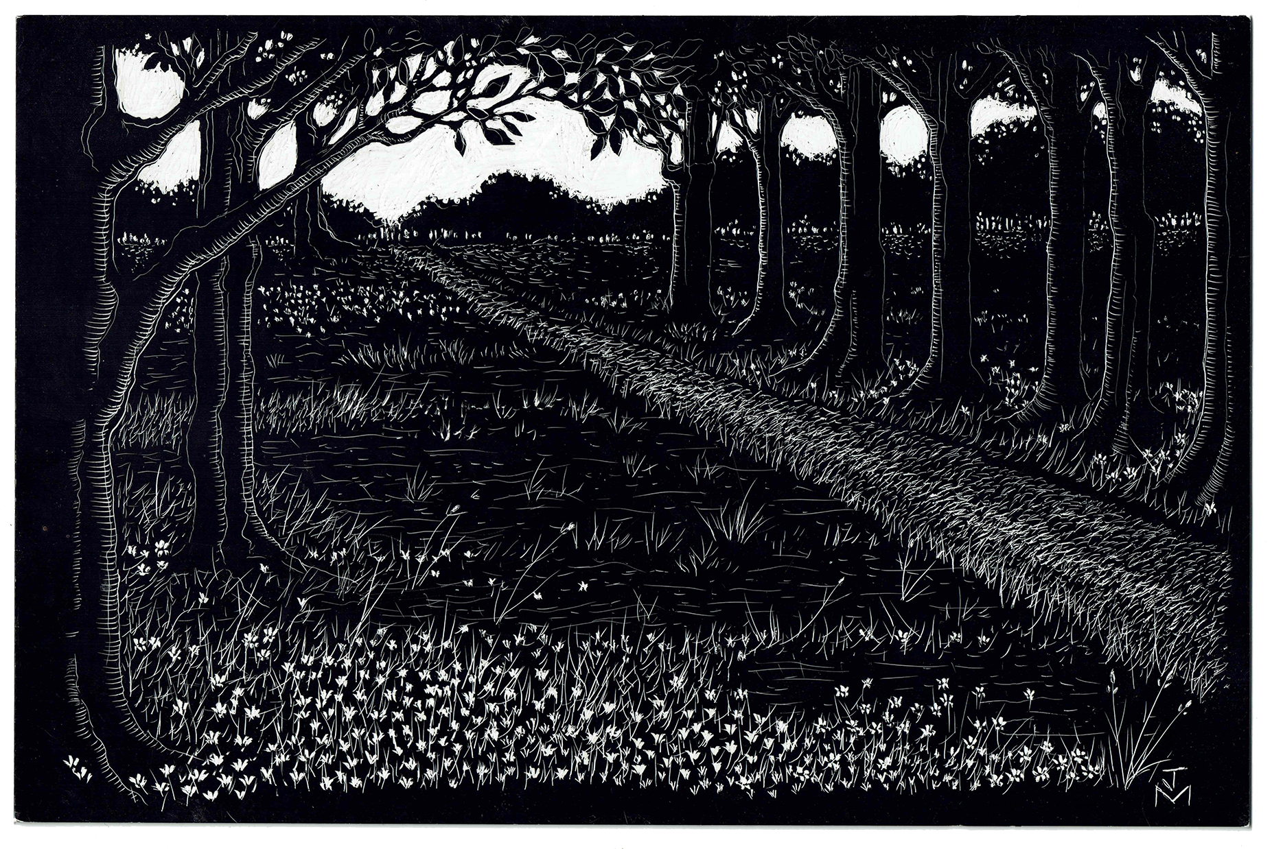 Field Path Through the Trees, Somerset, 2023_WR.png