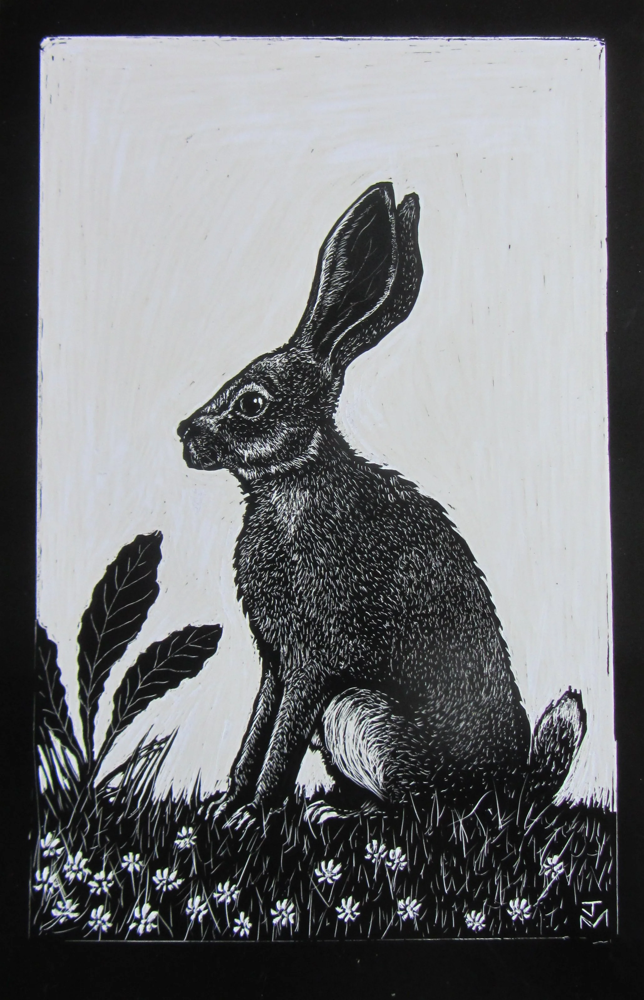 March Hare.JPG