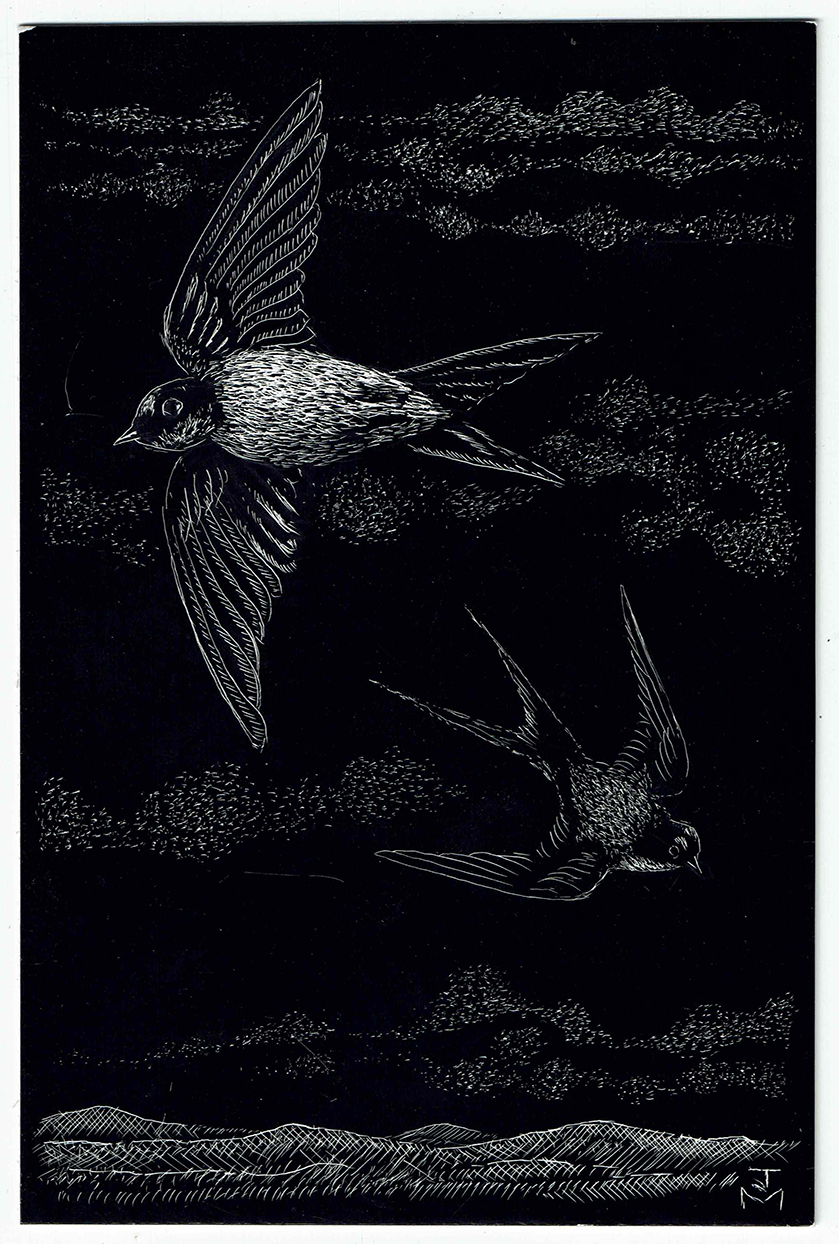 Swallows in Flight, 2023_WR.png