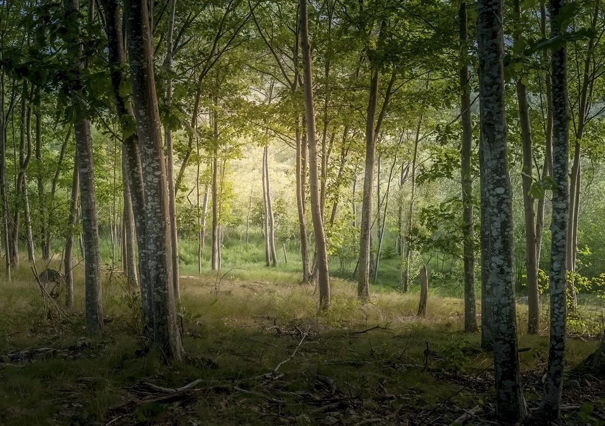 Acadia National Park Maine