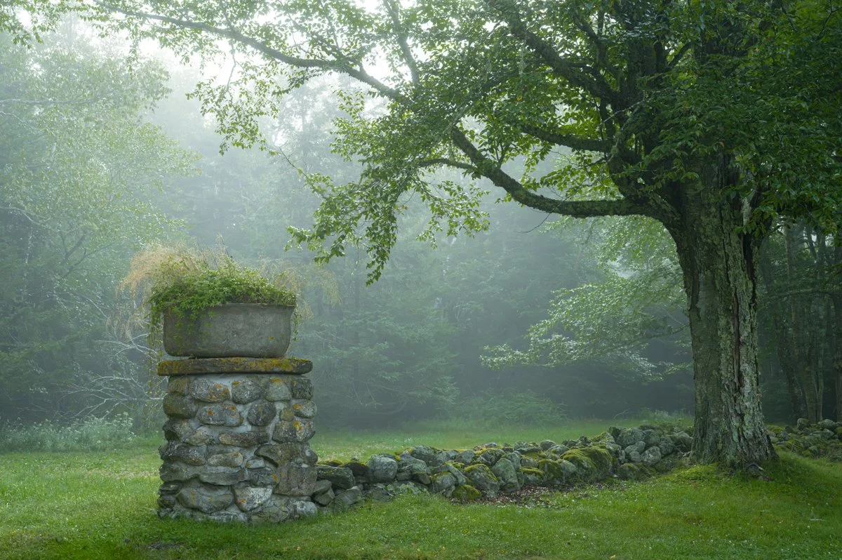 Stone Wall Ministers Island