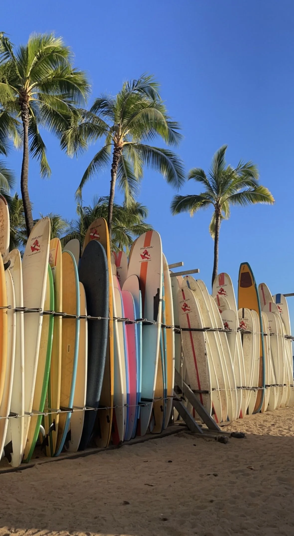 🌊 Camp 3: Surf &amp; Flow