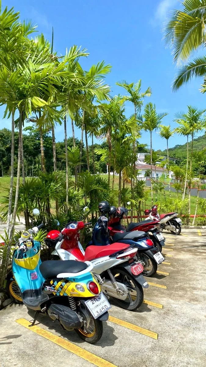 IMG_6718.jpeg