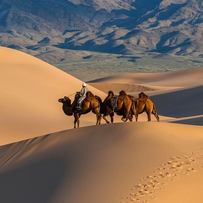 Gobi desert, Mongolia.jpeg