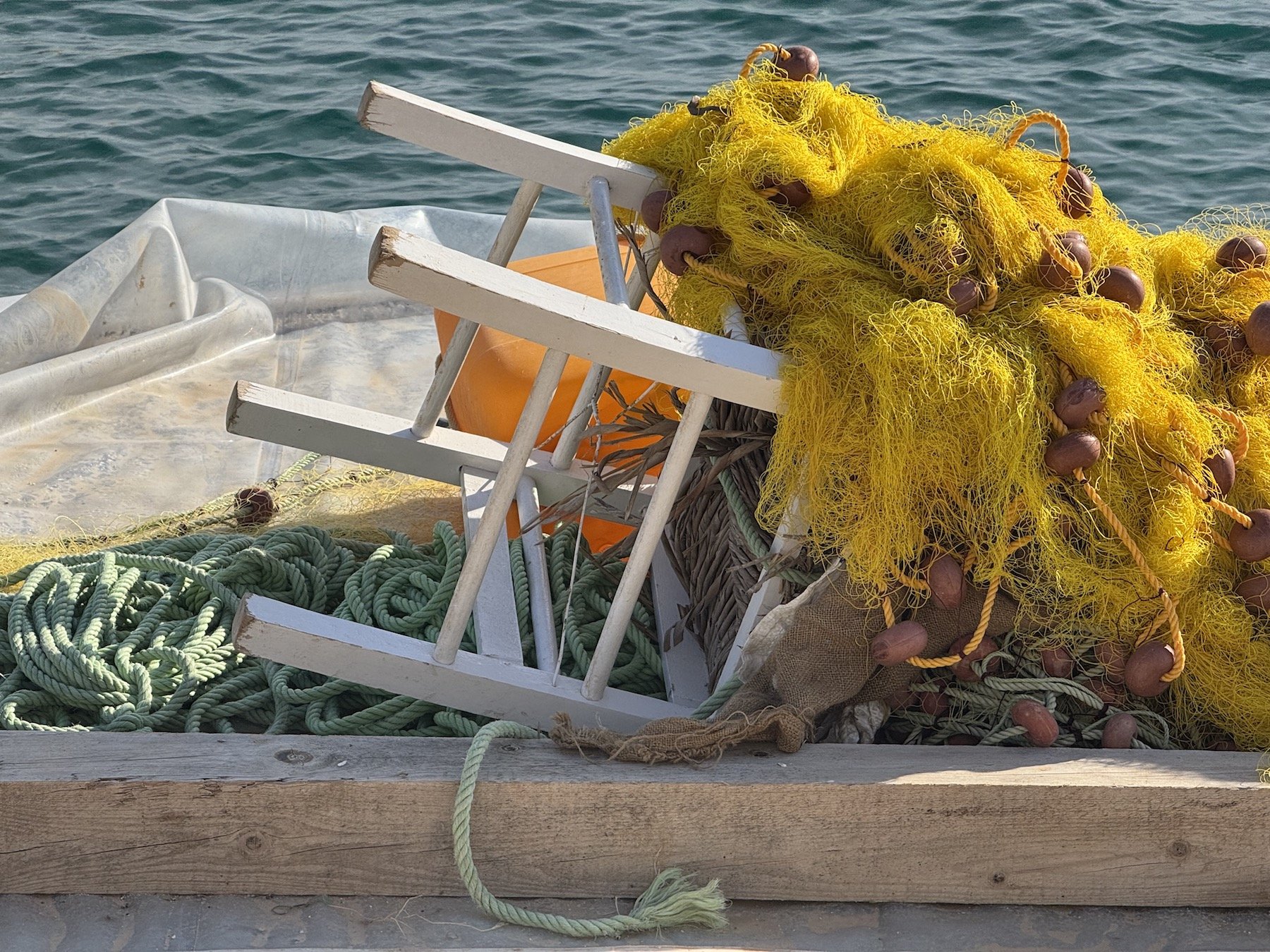 FROM SEA TO TABLE 5.jpeg