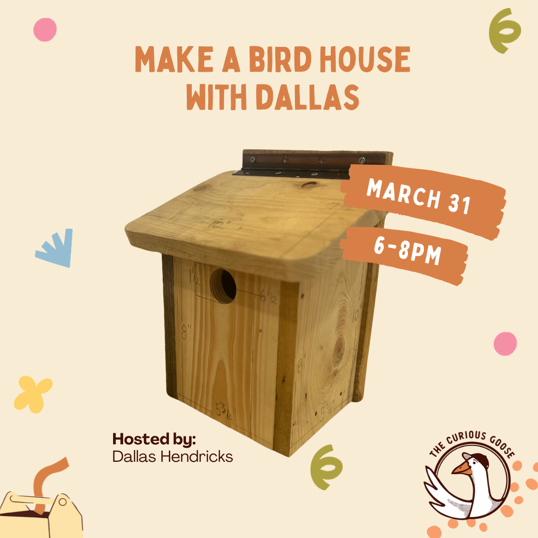 Make a tree swallow bird house