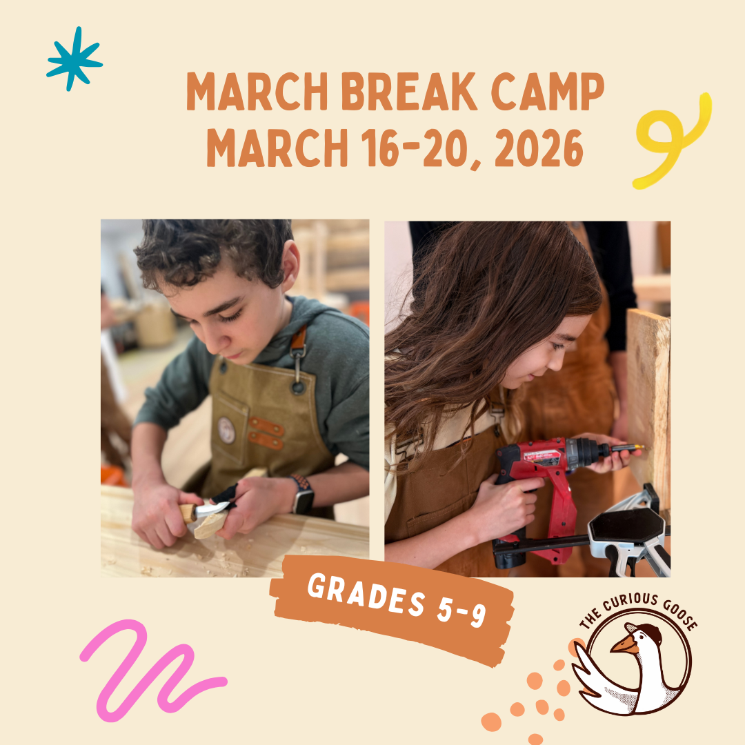 March Break Camp at Curious Goose