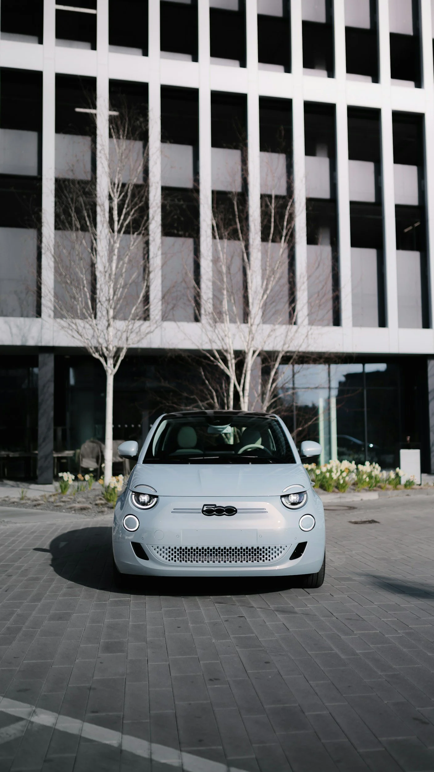 Fiat warns government must reinstate electric car grants amid sales slowdown