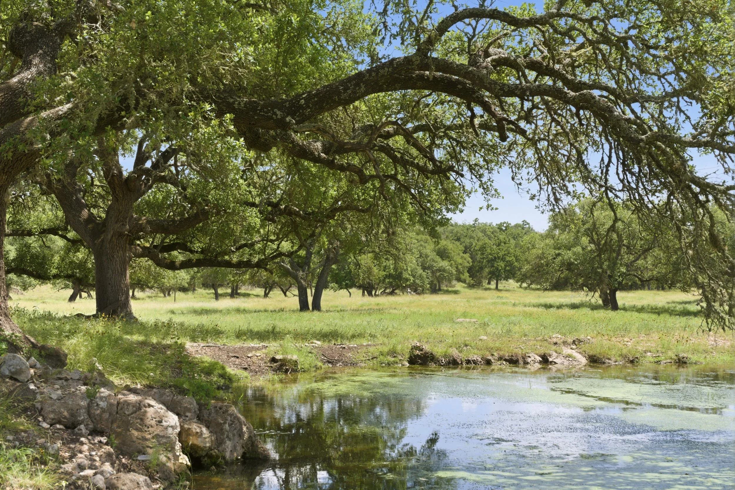 cava-loma-ranch_061.jpg