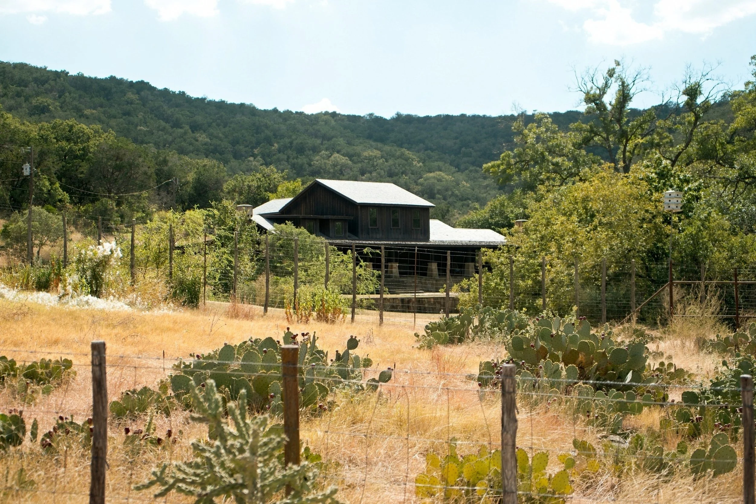 12-springs-ranch_7400426.jpg