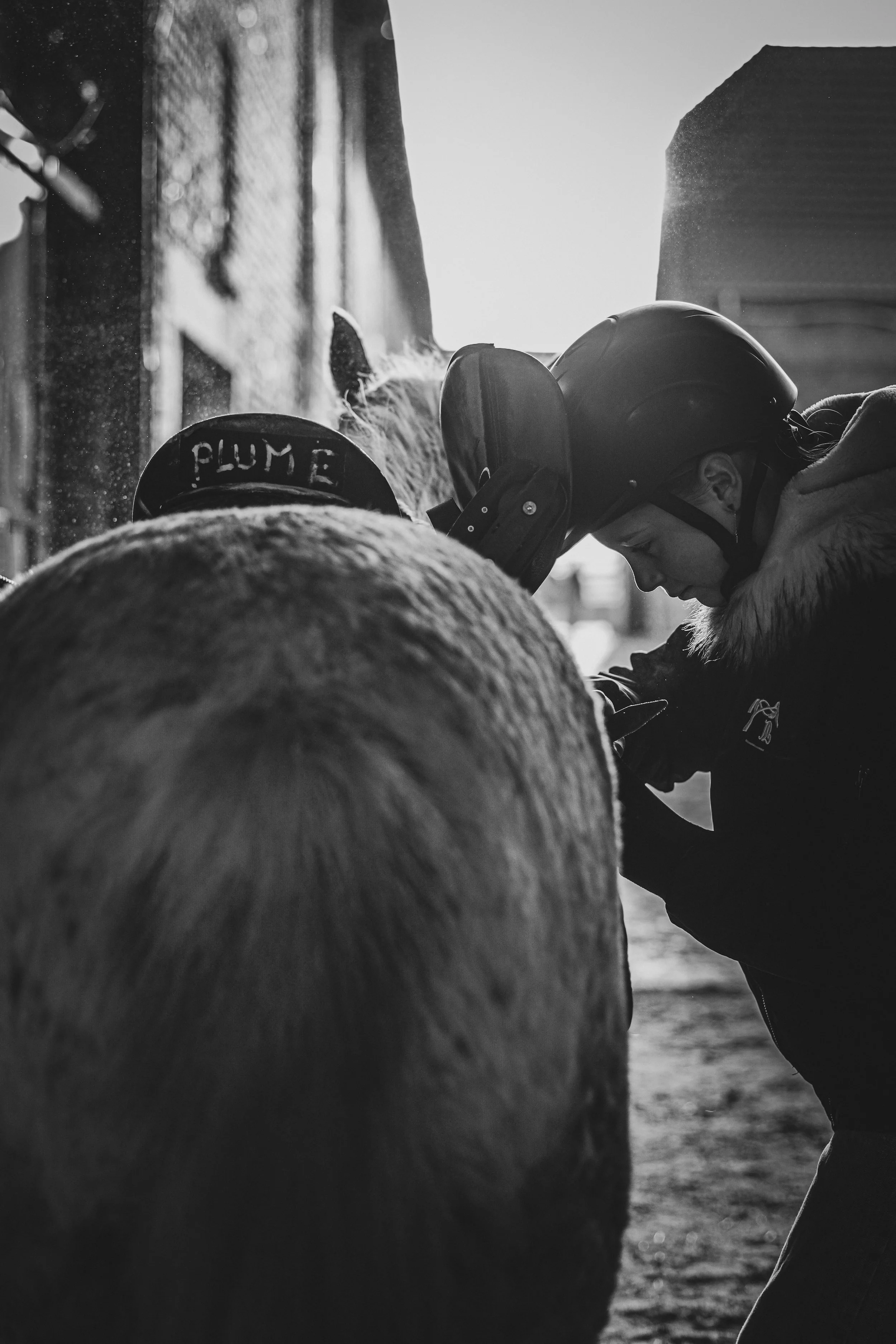 Leonie concour 18-01-2026-81.jpg