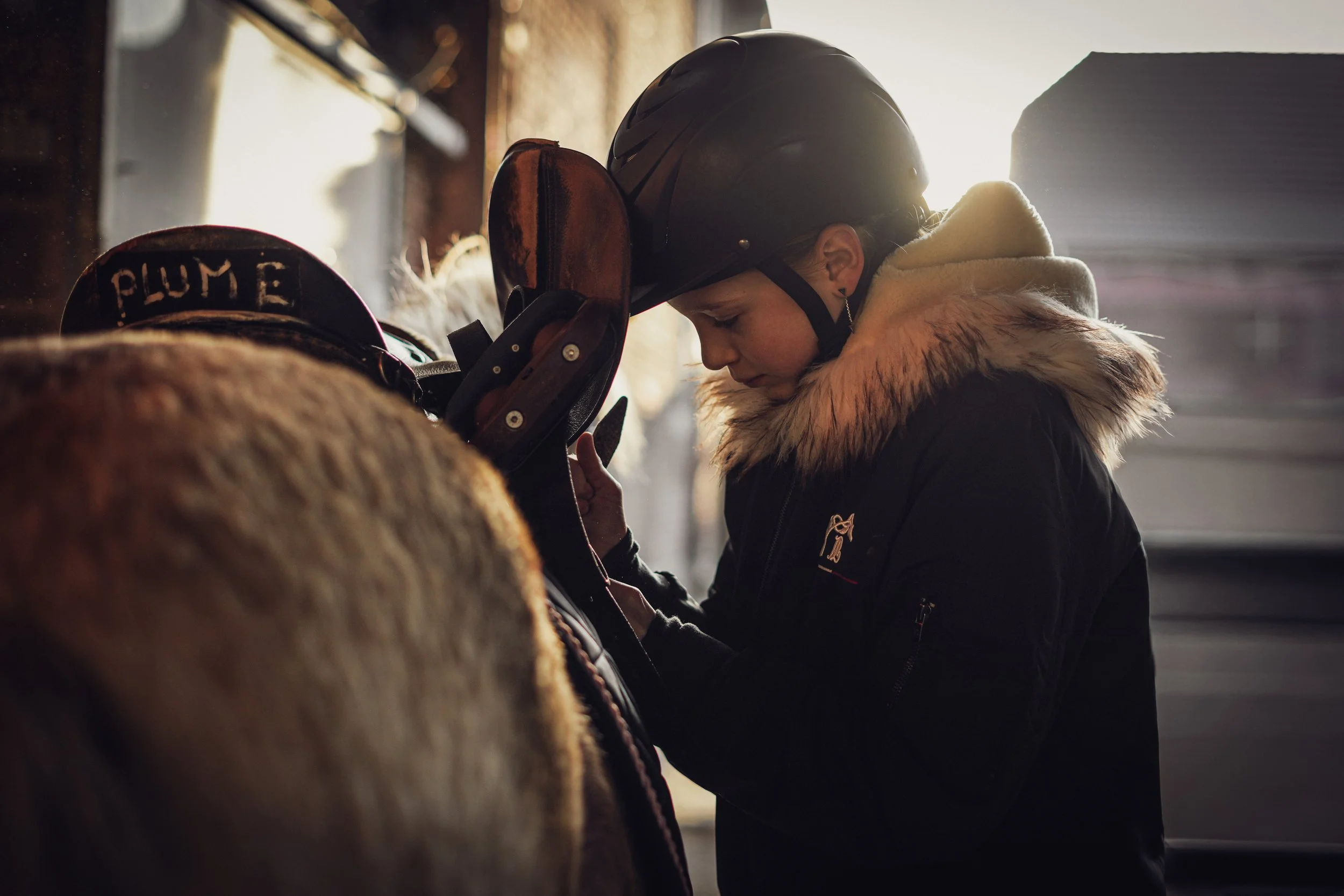 Leonie concour 18-01-2026-80.jpg