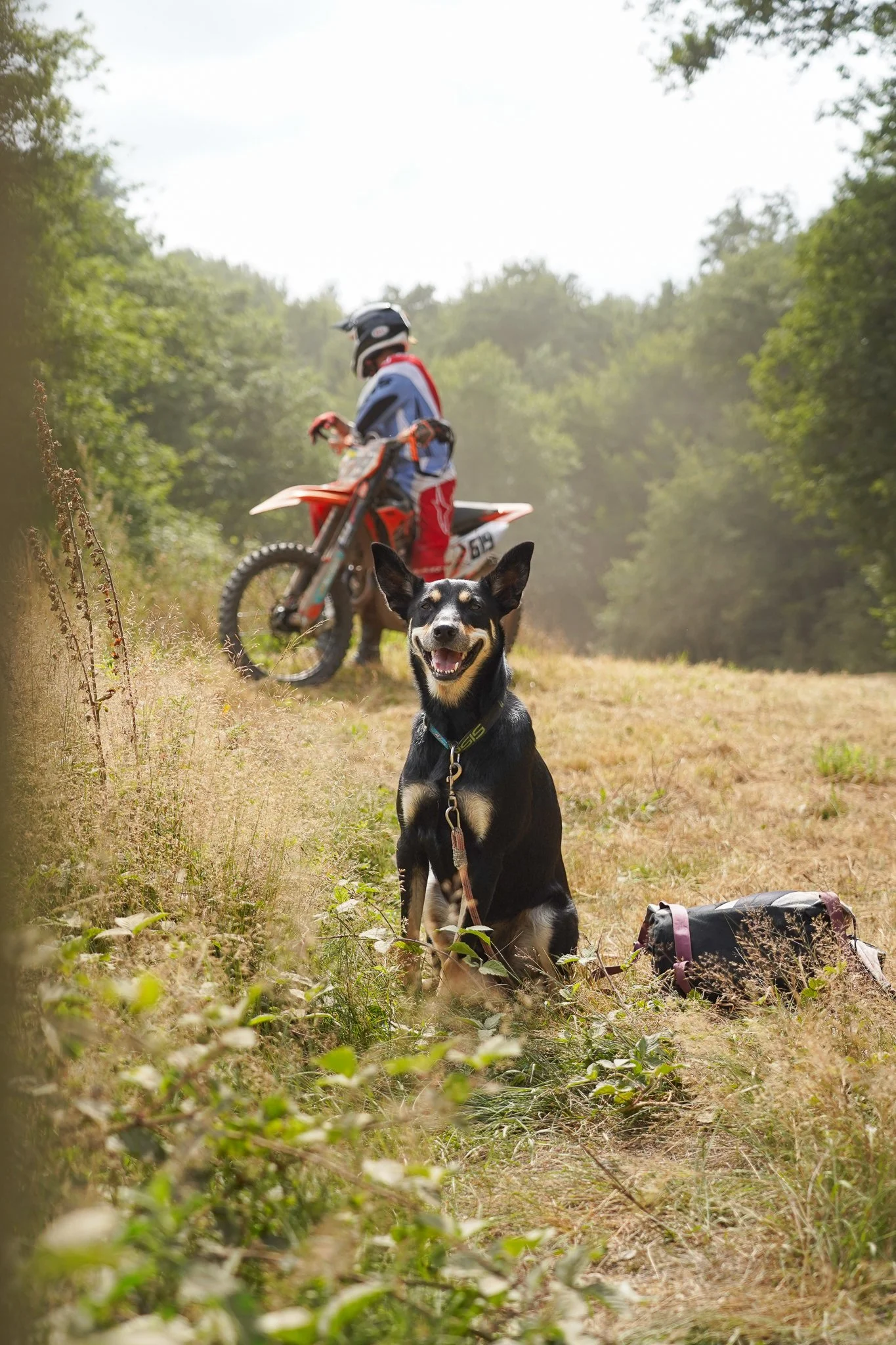 Sans titre (6 sur 24).jpg