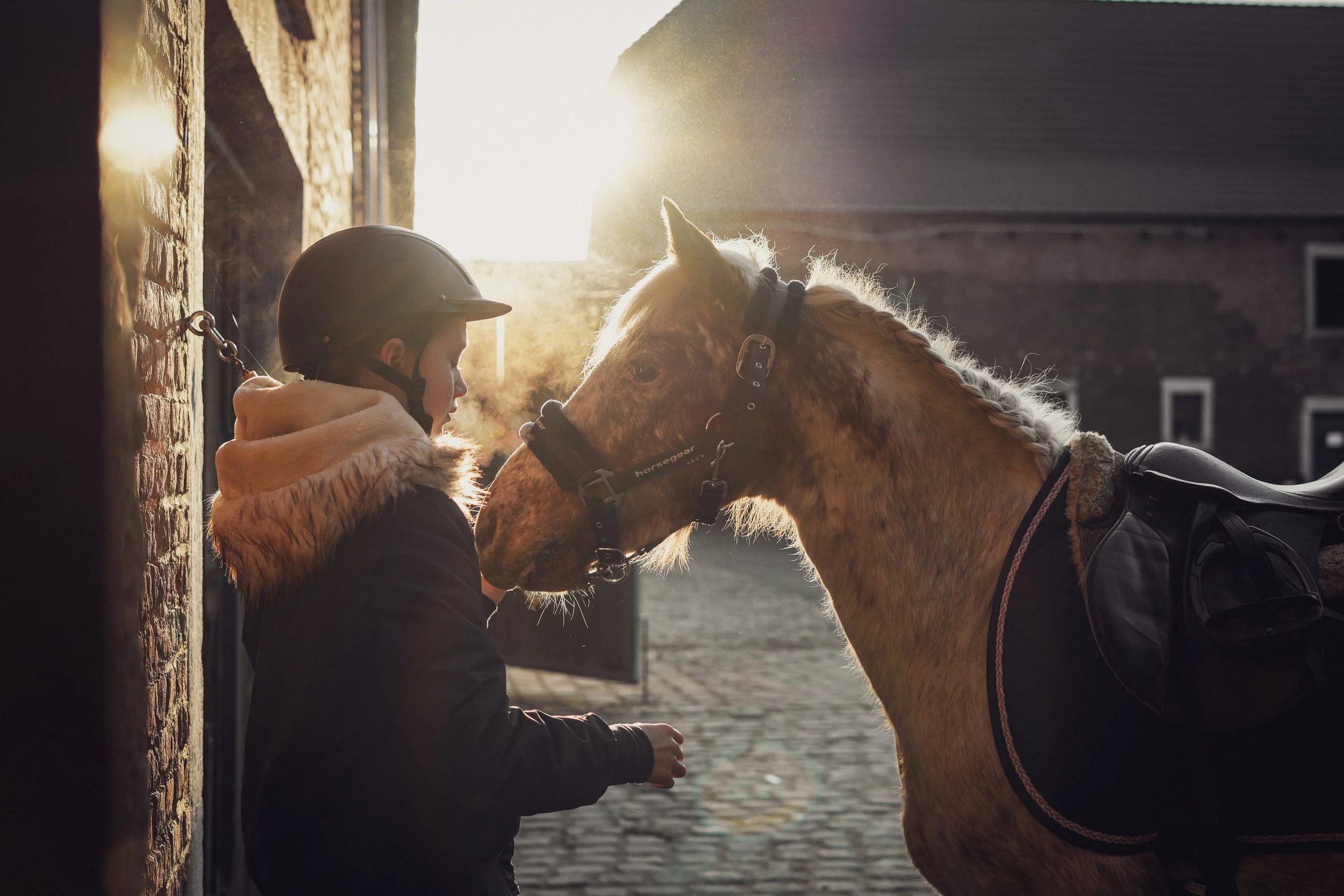 Leonie concour 18-01-2026-21.jpg