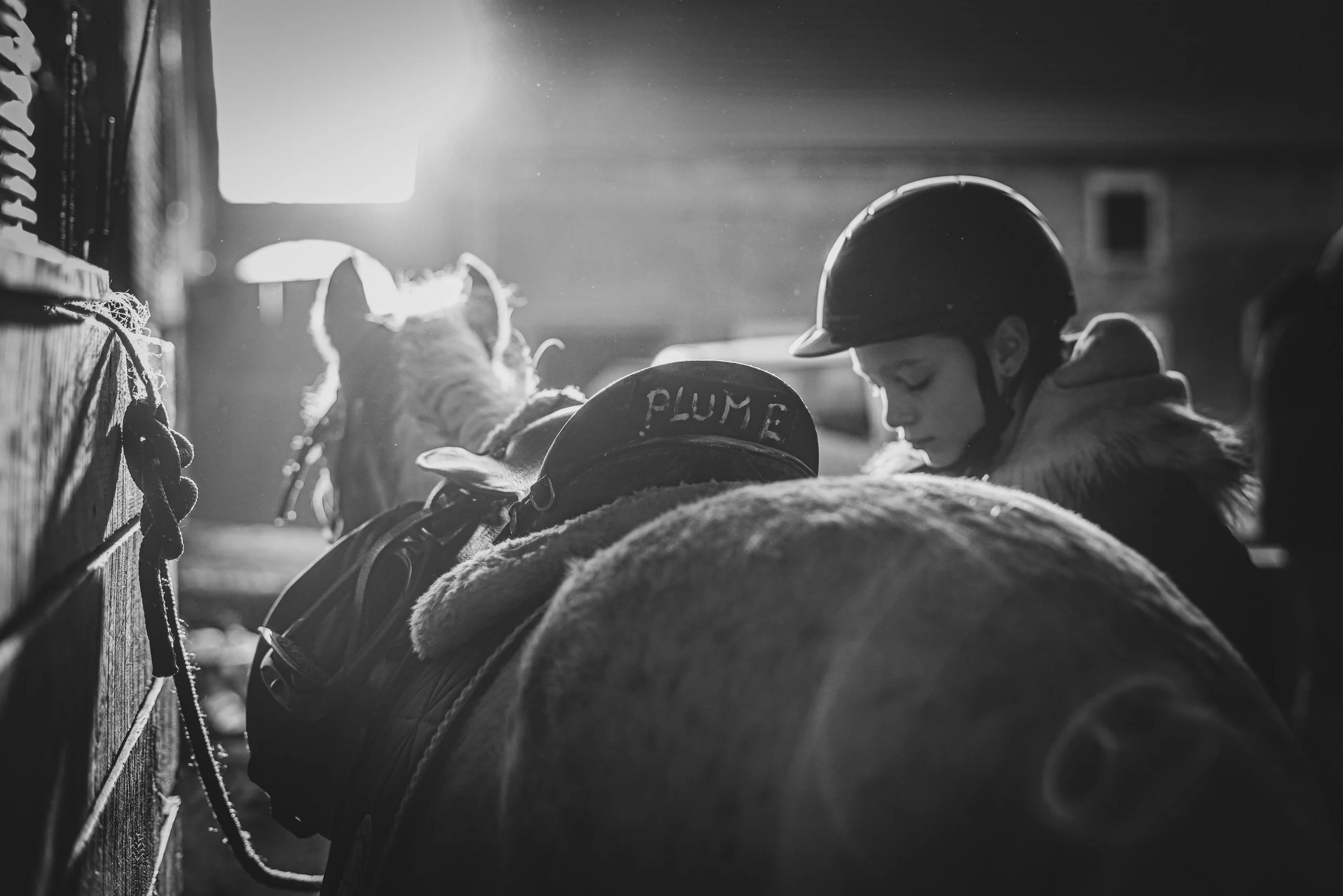 Leonie concour 18-01-2026-83.jpg