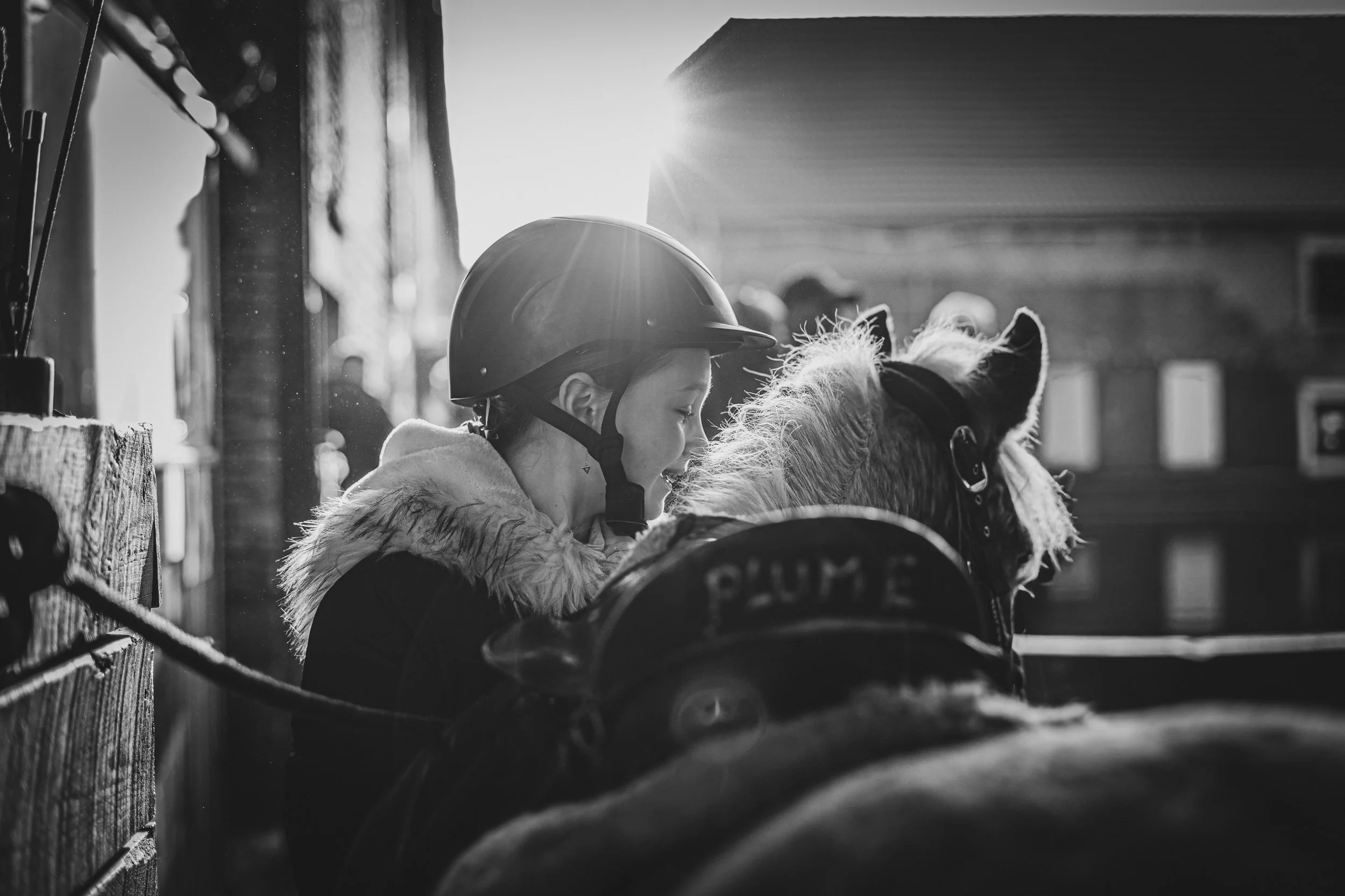 Leonie concour 18-01-2026-76.jpg