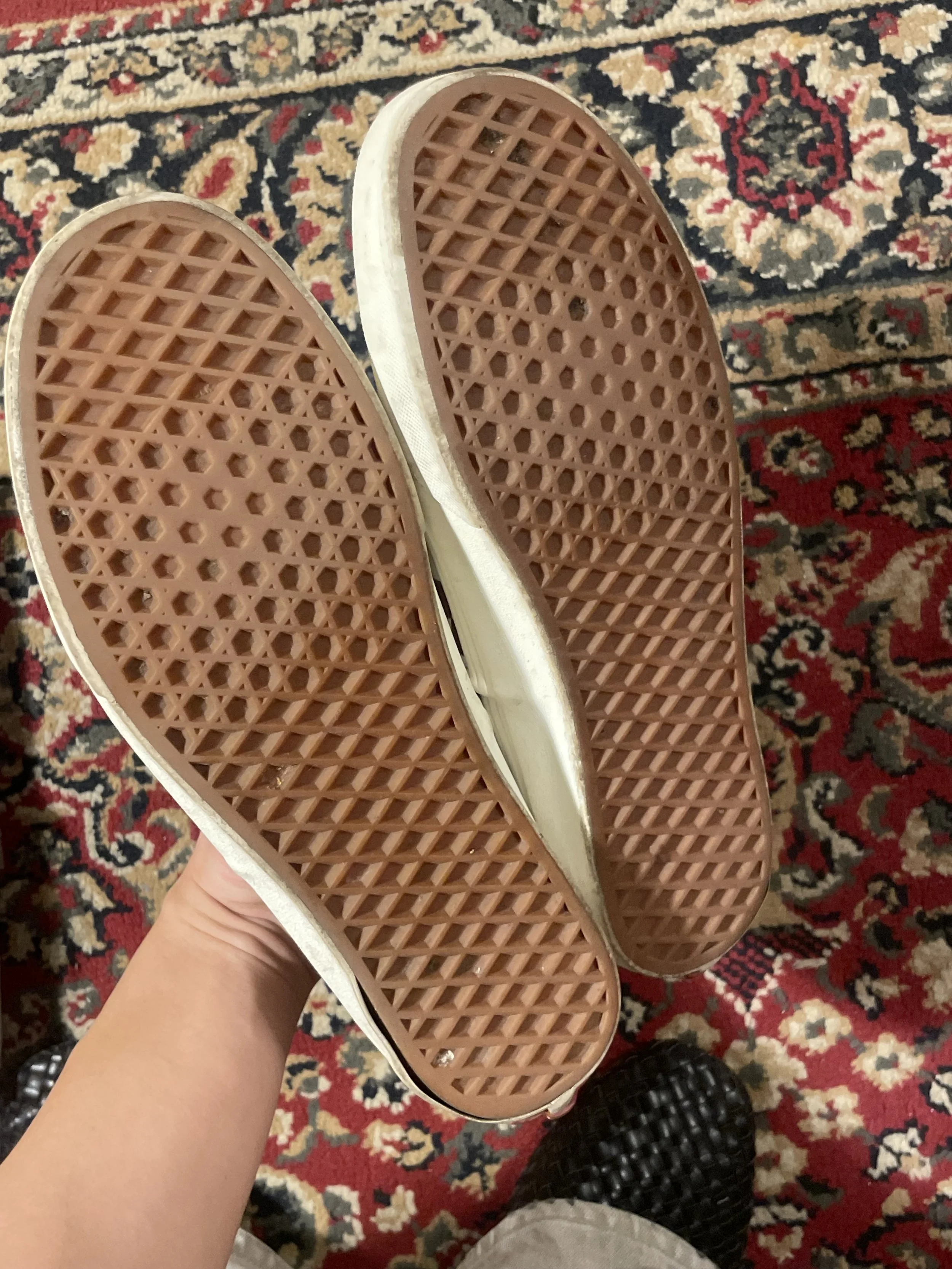 IMG_3082.jpeg